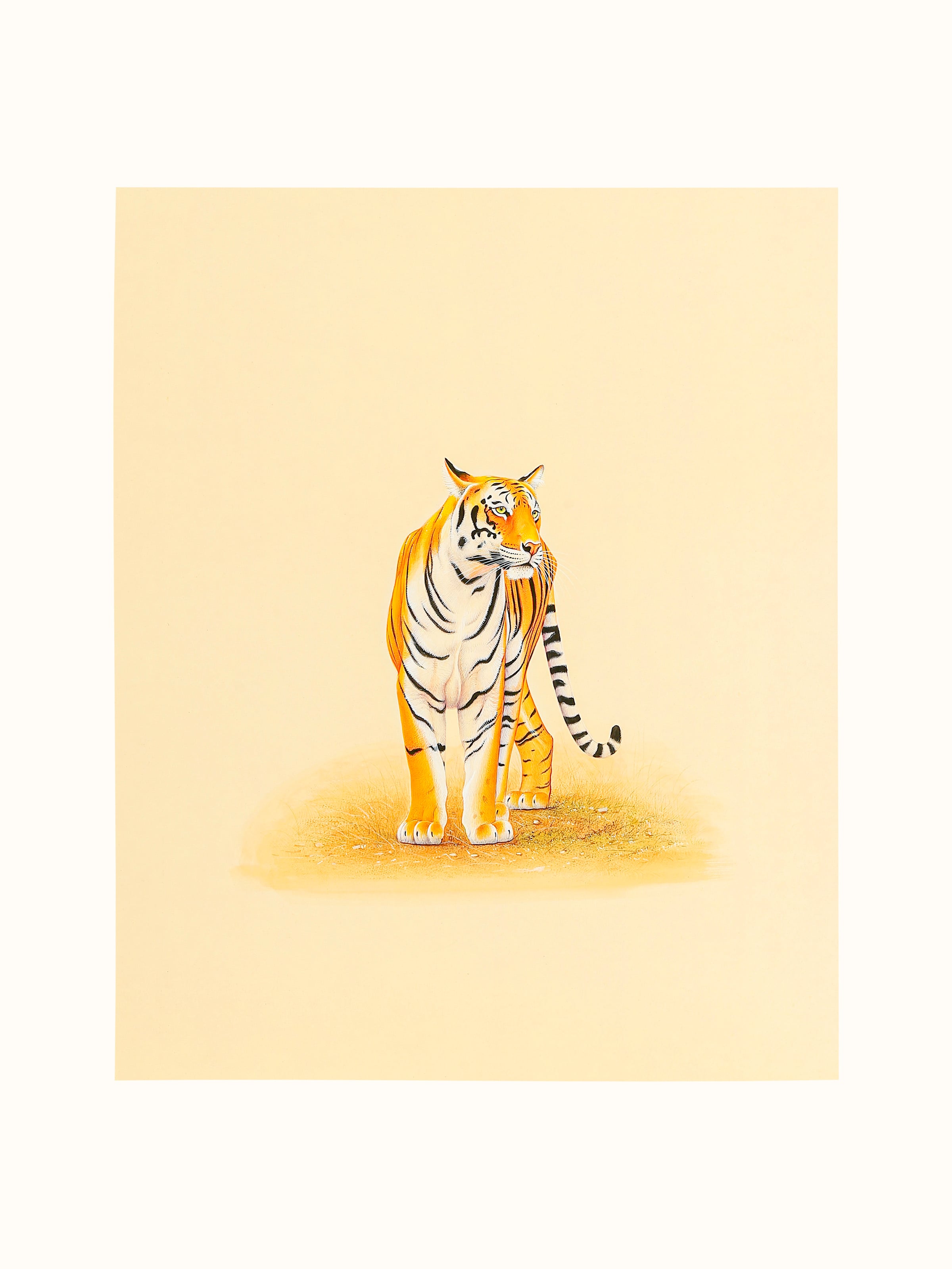 Tiger Miniature Painting