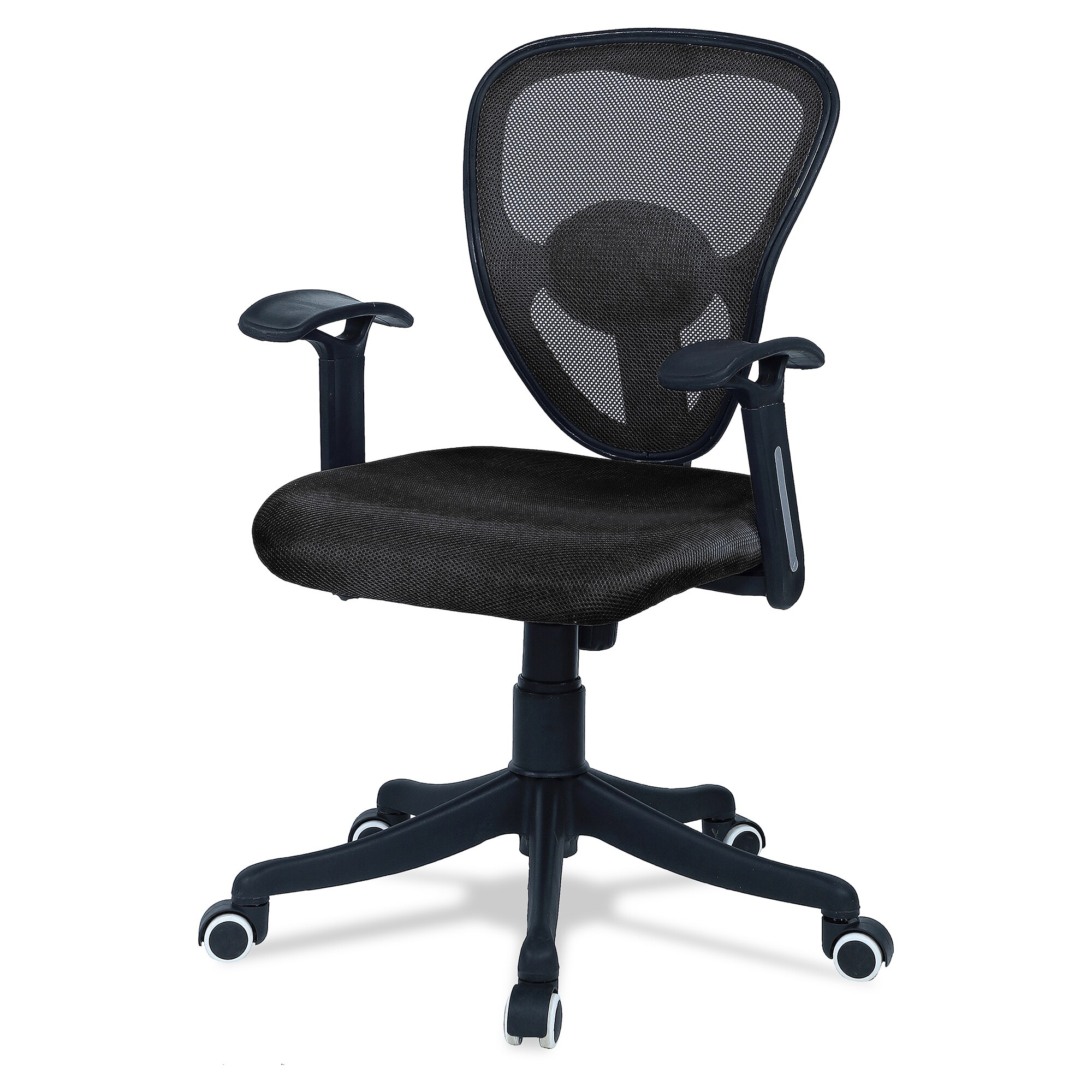 Aaeroa Low Back Ergonomic Chair in Black Colour