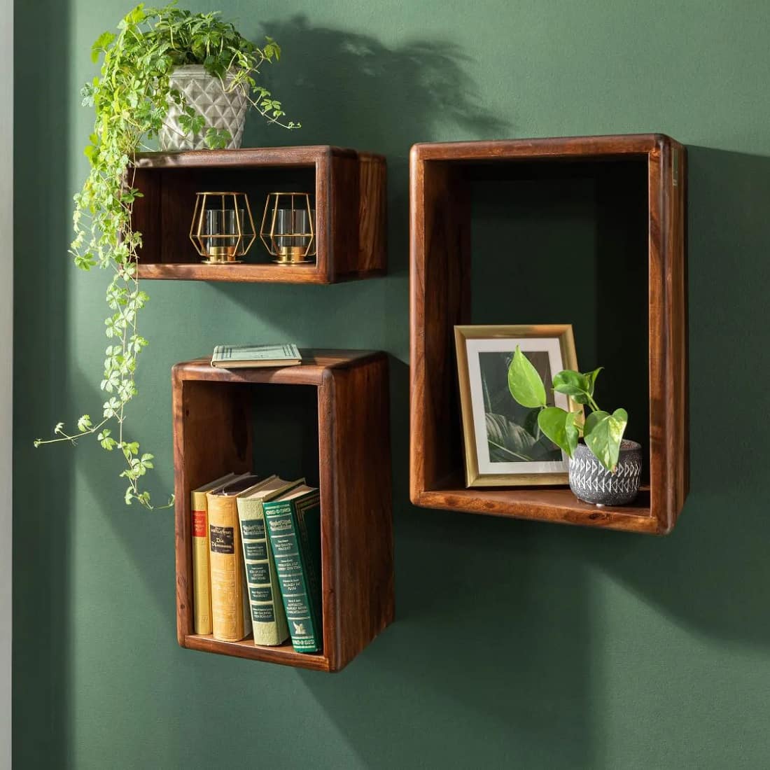 Raar Solid Sheesham Wood Wall Shelf Set in Provincial Teak Finish - Demiwall