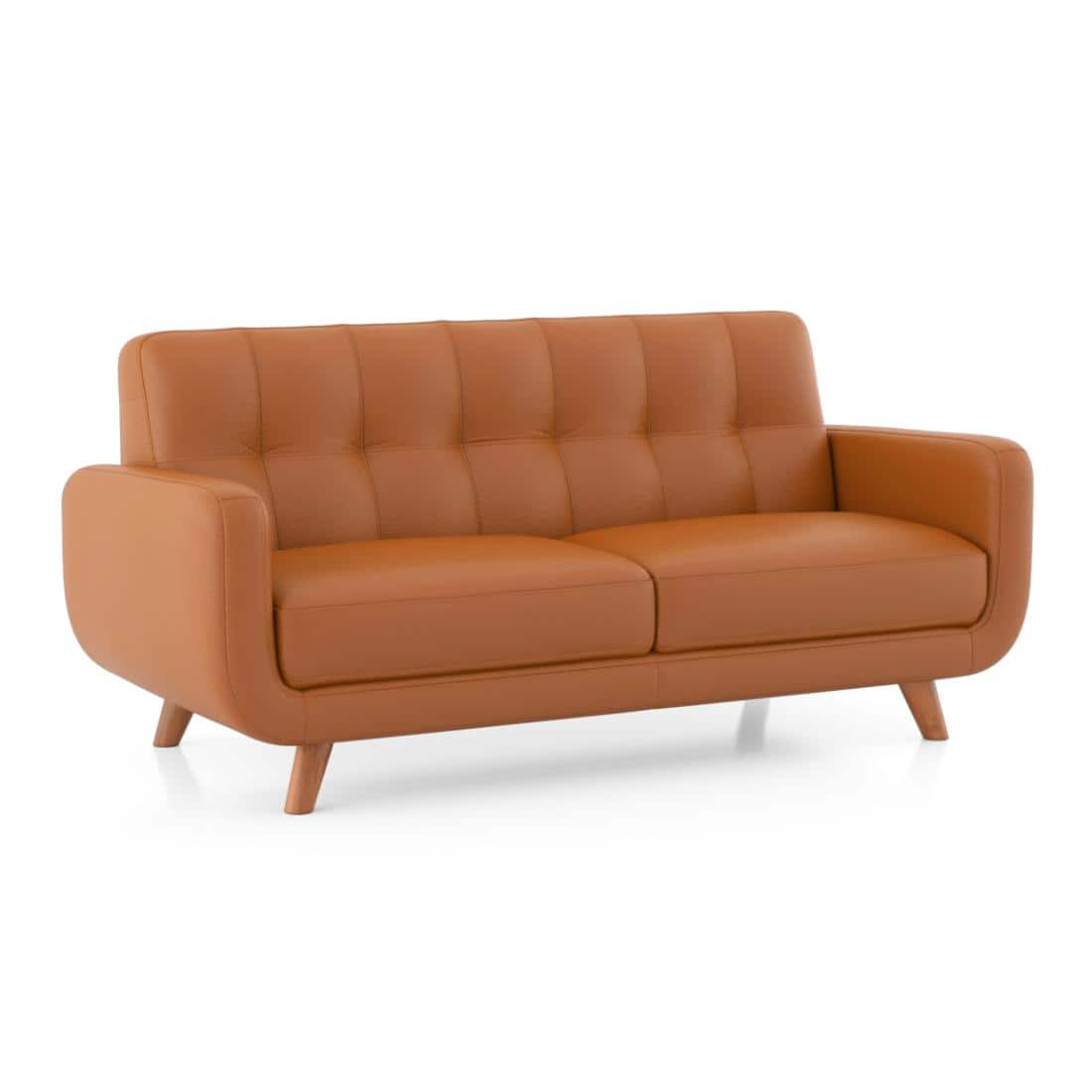 Waverly 2 Seater Leather Sofa in Apricot