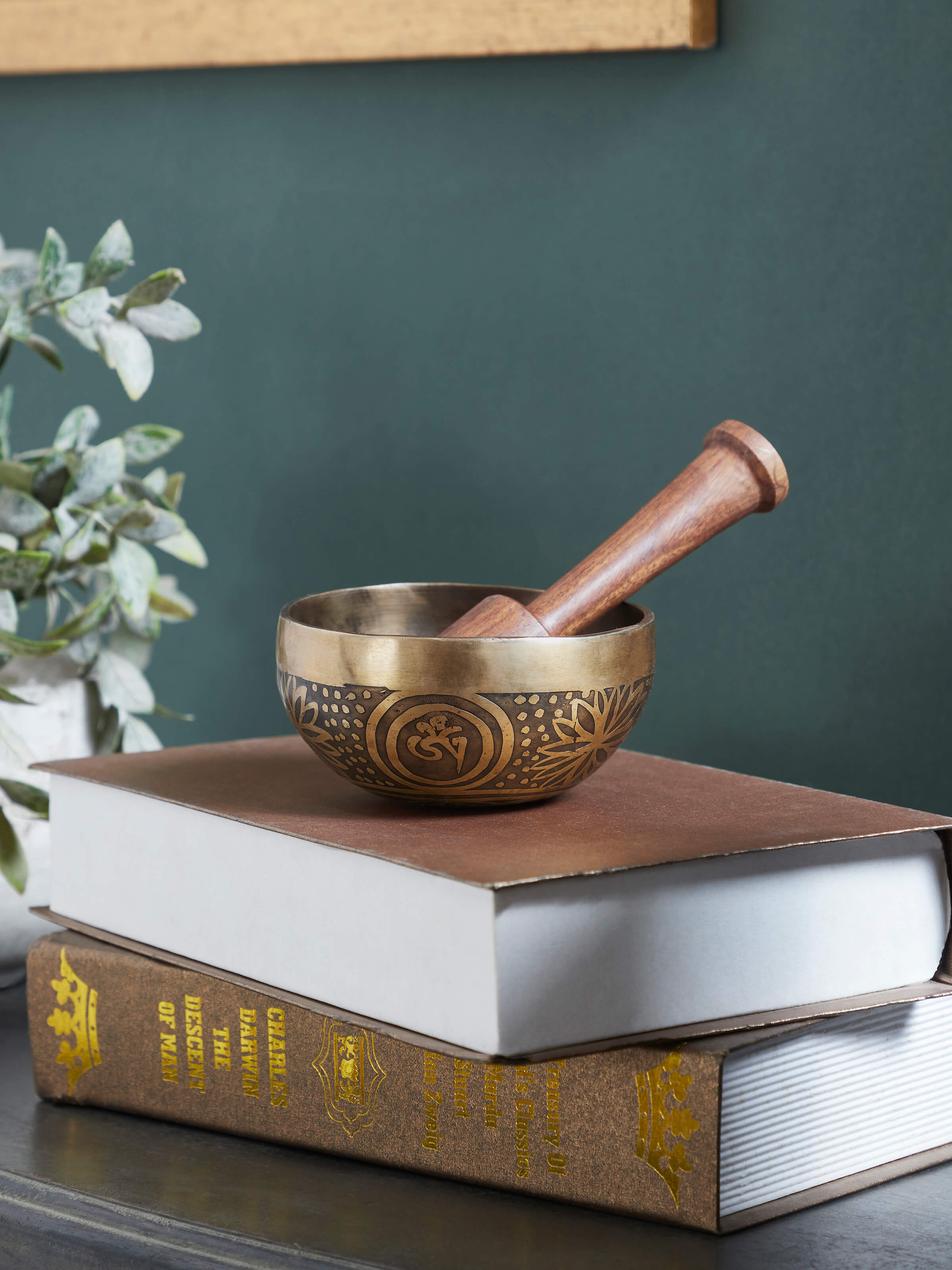 Lifestyle image of Sheesham wood cane cabinet placed in a contemporary interior – artisanal Indian furniture