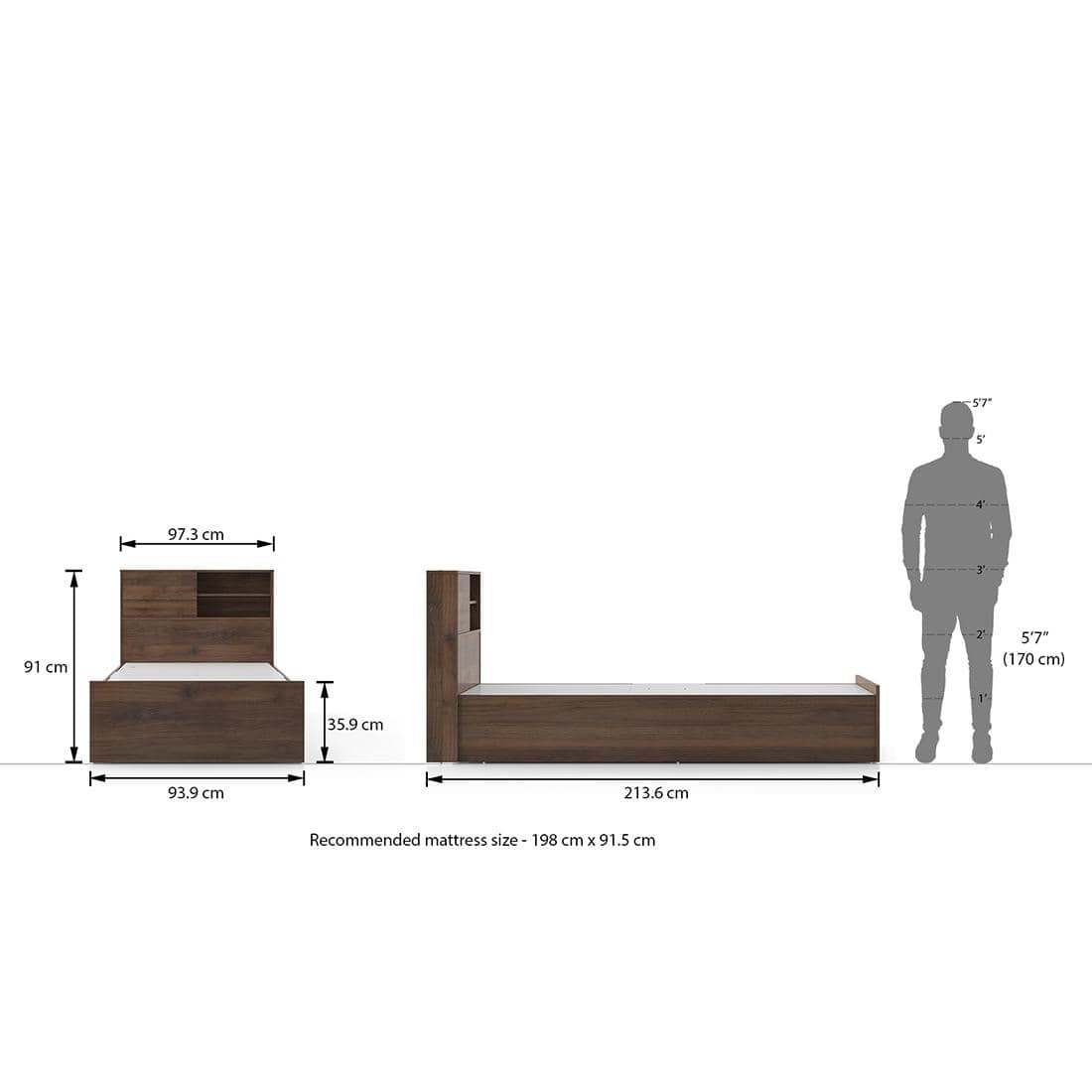 Amy Engineered Wood Single Size Box Storage Bed In Classic Walnut Finish