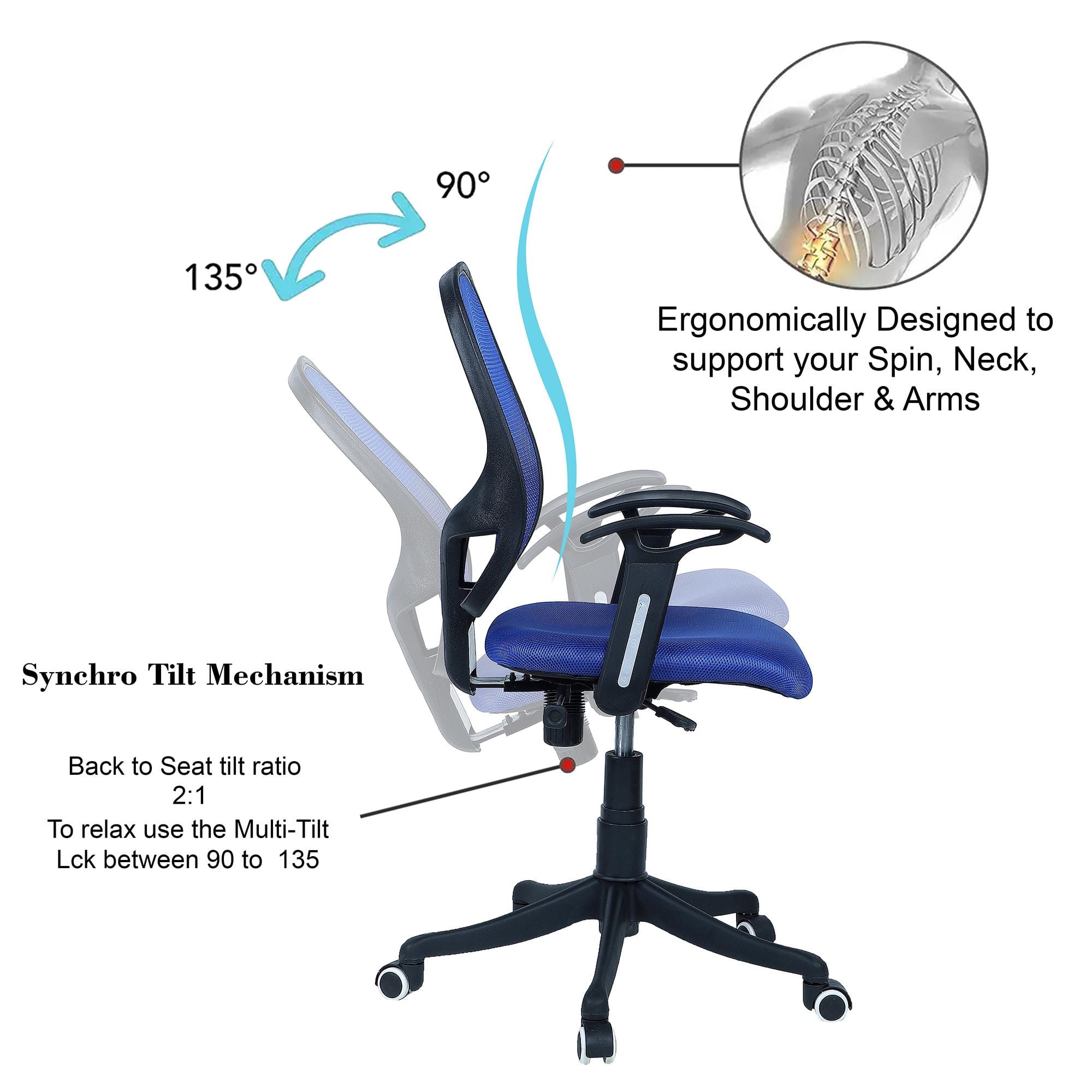 Goolda Low Back Ergonomic Chair in Blue Colour