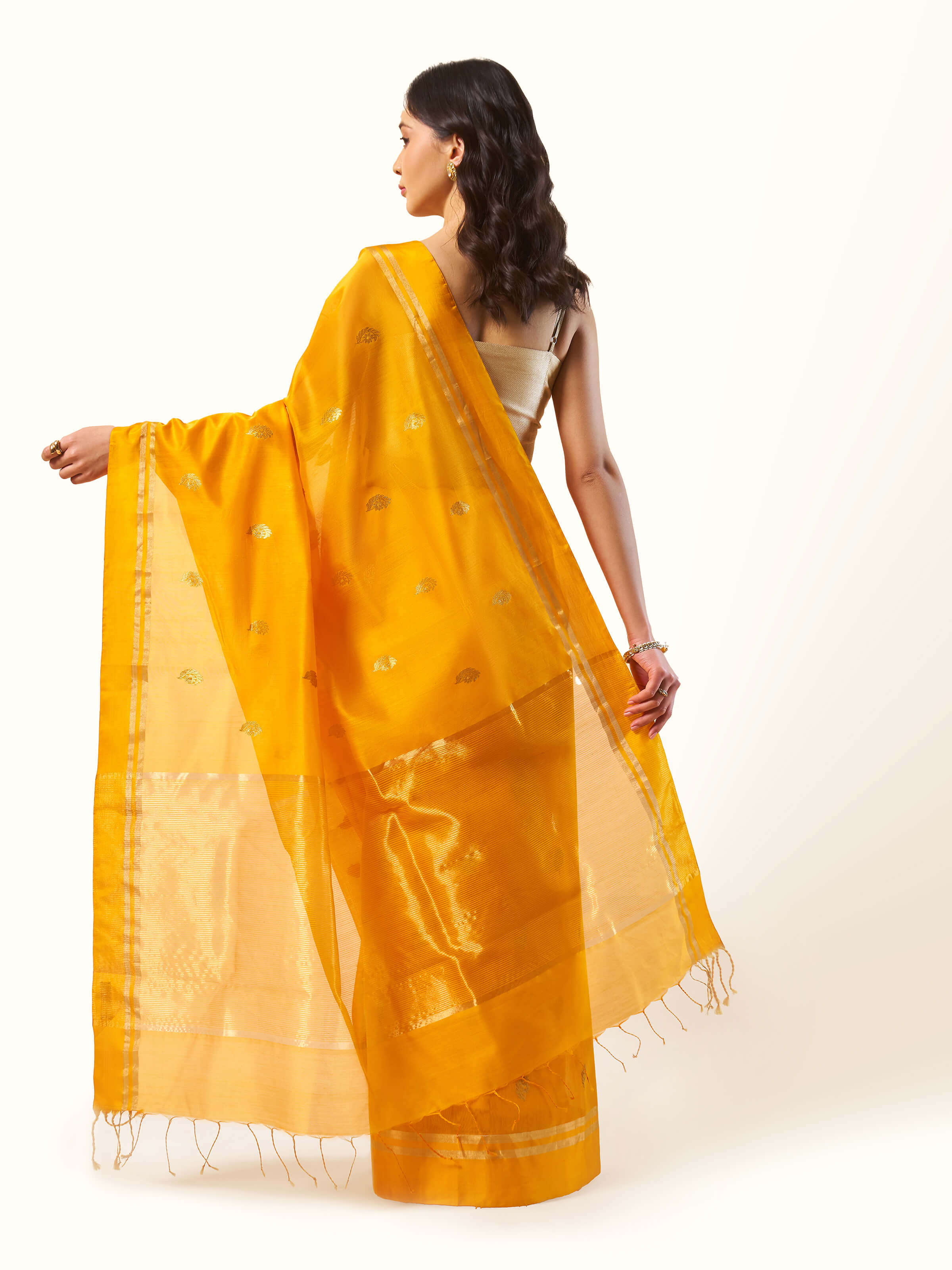 Back view of mango mulberry silk cotton Chanderi saree with pleated pallu and border