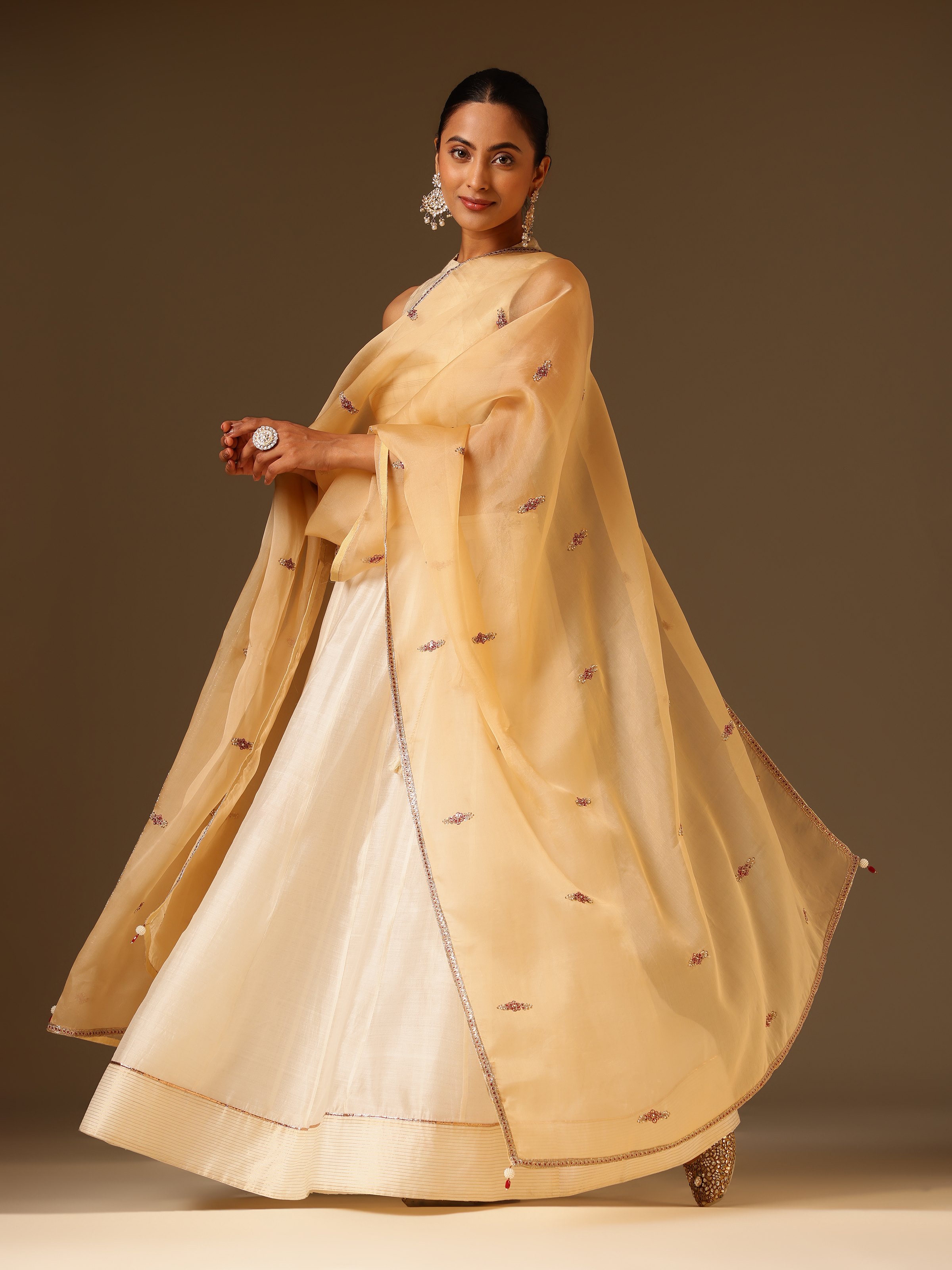 Model draped in beige Zardozi embroidered dupatta, highlighting its traditional elegance and shimmer.