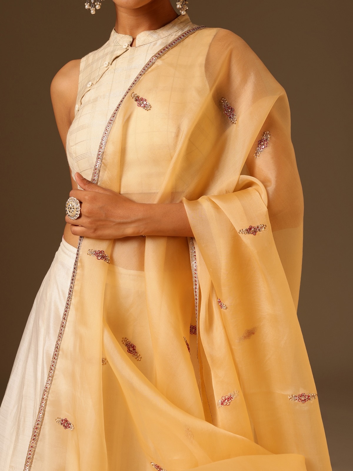 Close-up of embroidered border and motifs on beige silk Zardozi dupatta, reflecting intricate craftsmanship.