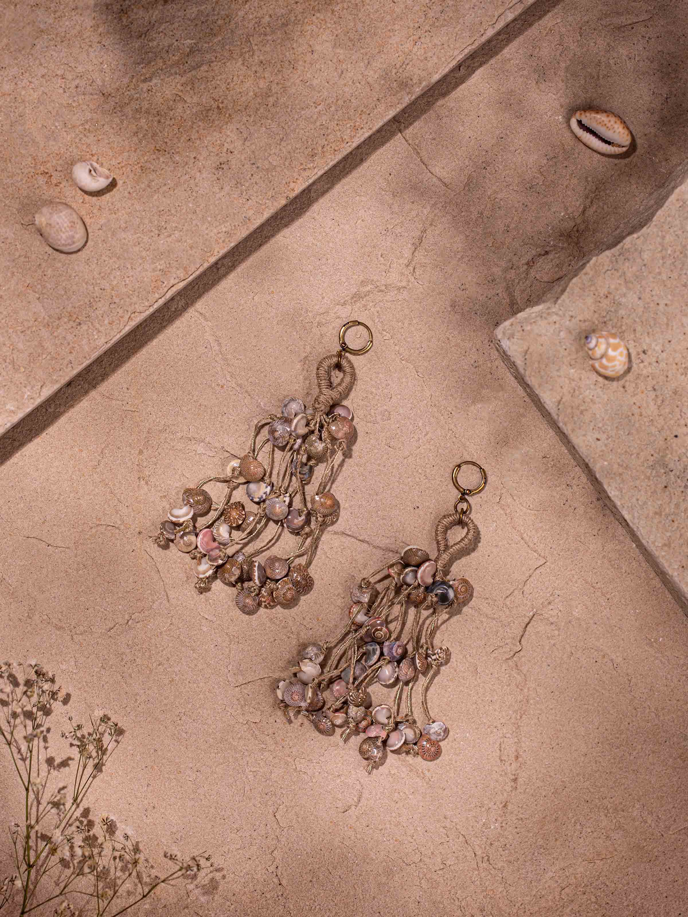 Side view of Cowrie Shell Drop Earrings revealing the elegant drop length and natural shell texture.