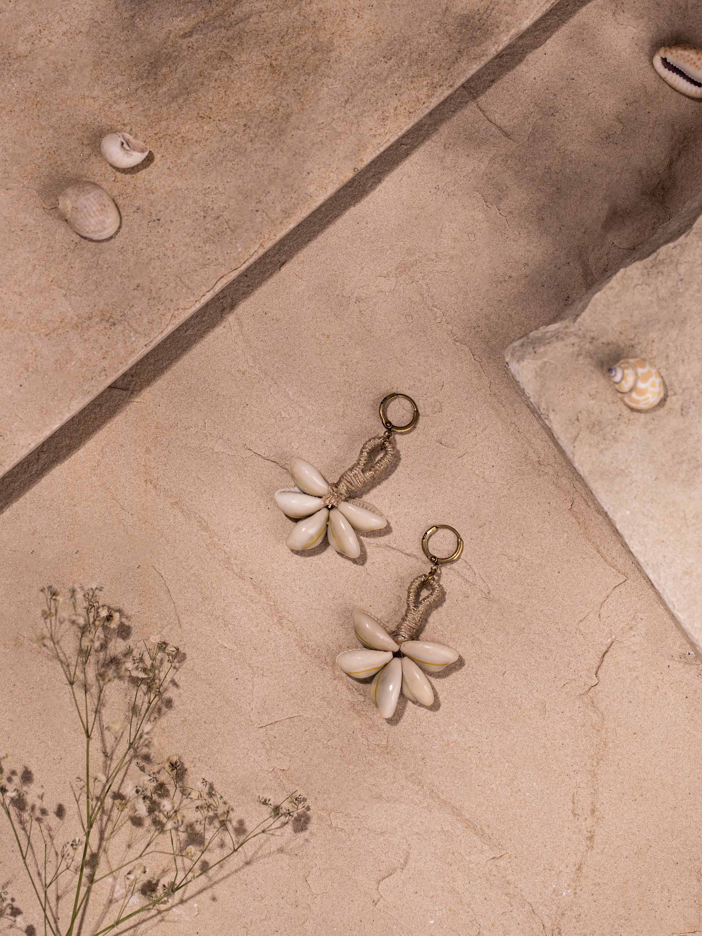 Close-up of Cowrie Shell Drop Earrings highlighting the detailed shell texture and metal accents.