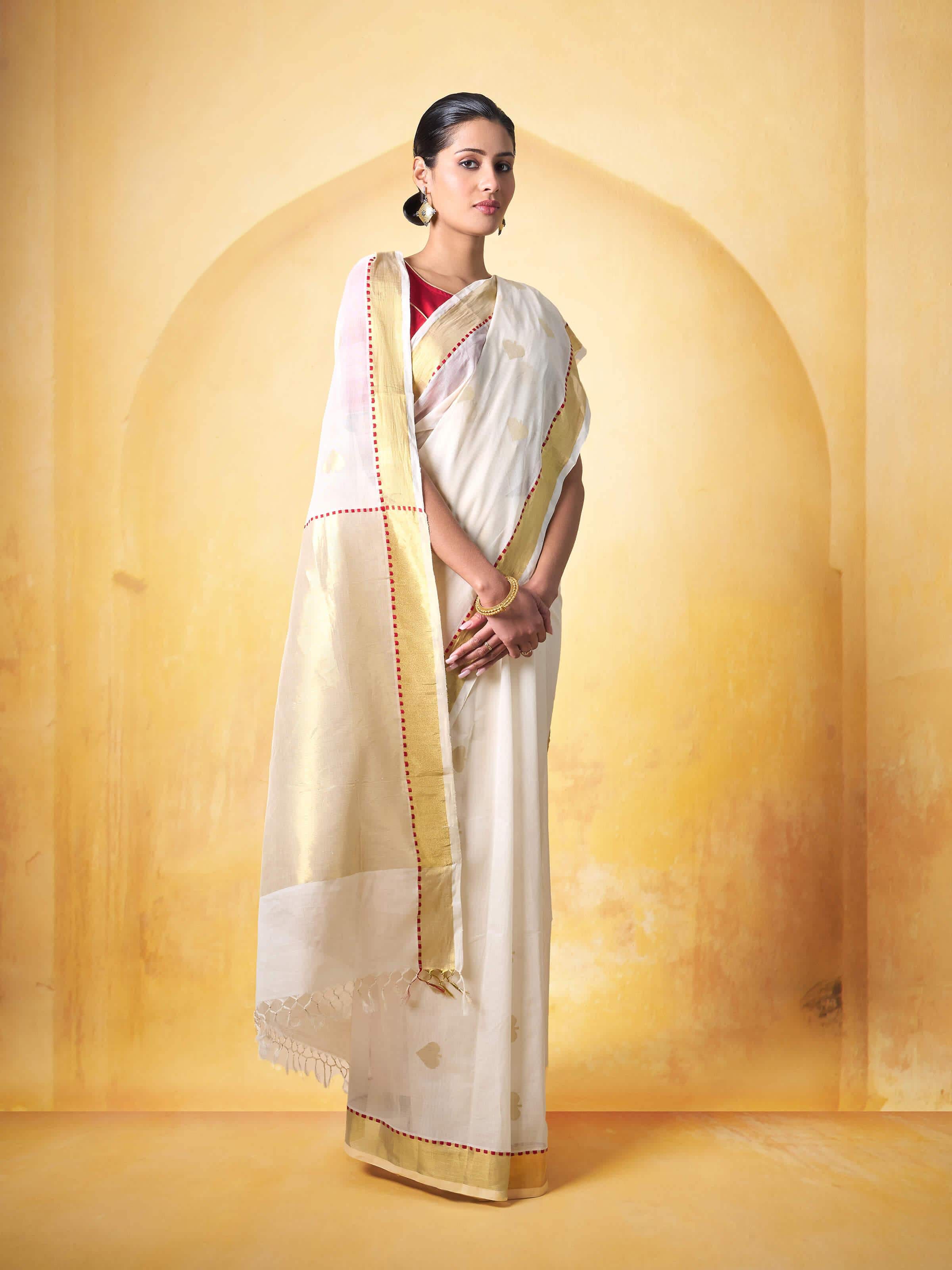 Back view of Cotton Venkatagiri Saree showcasing detailed handloom craftsmanship