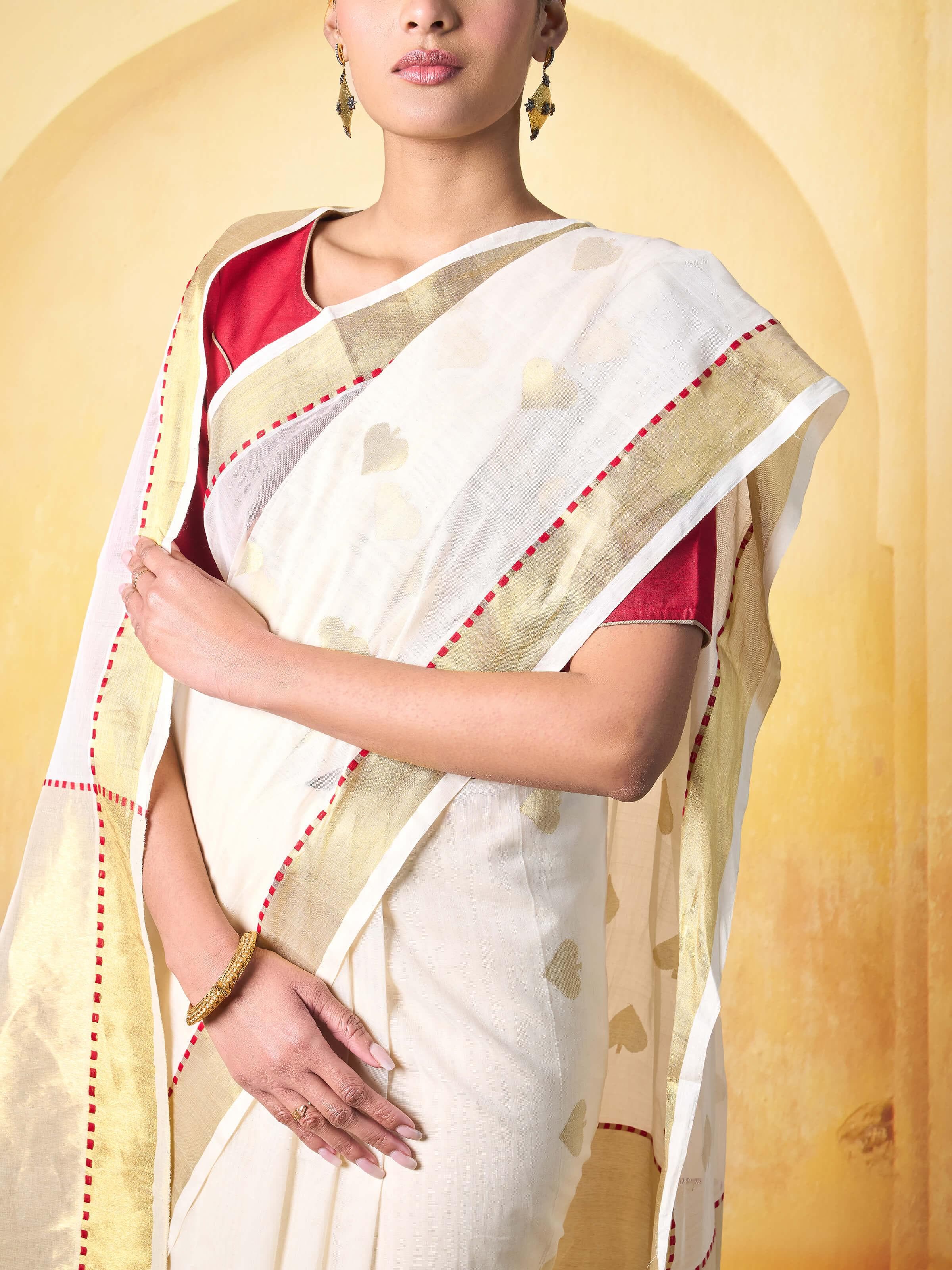 Detail shot of border on Cotton Venkatagiri Saree showcasing intricate embroidery