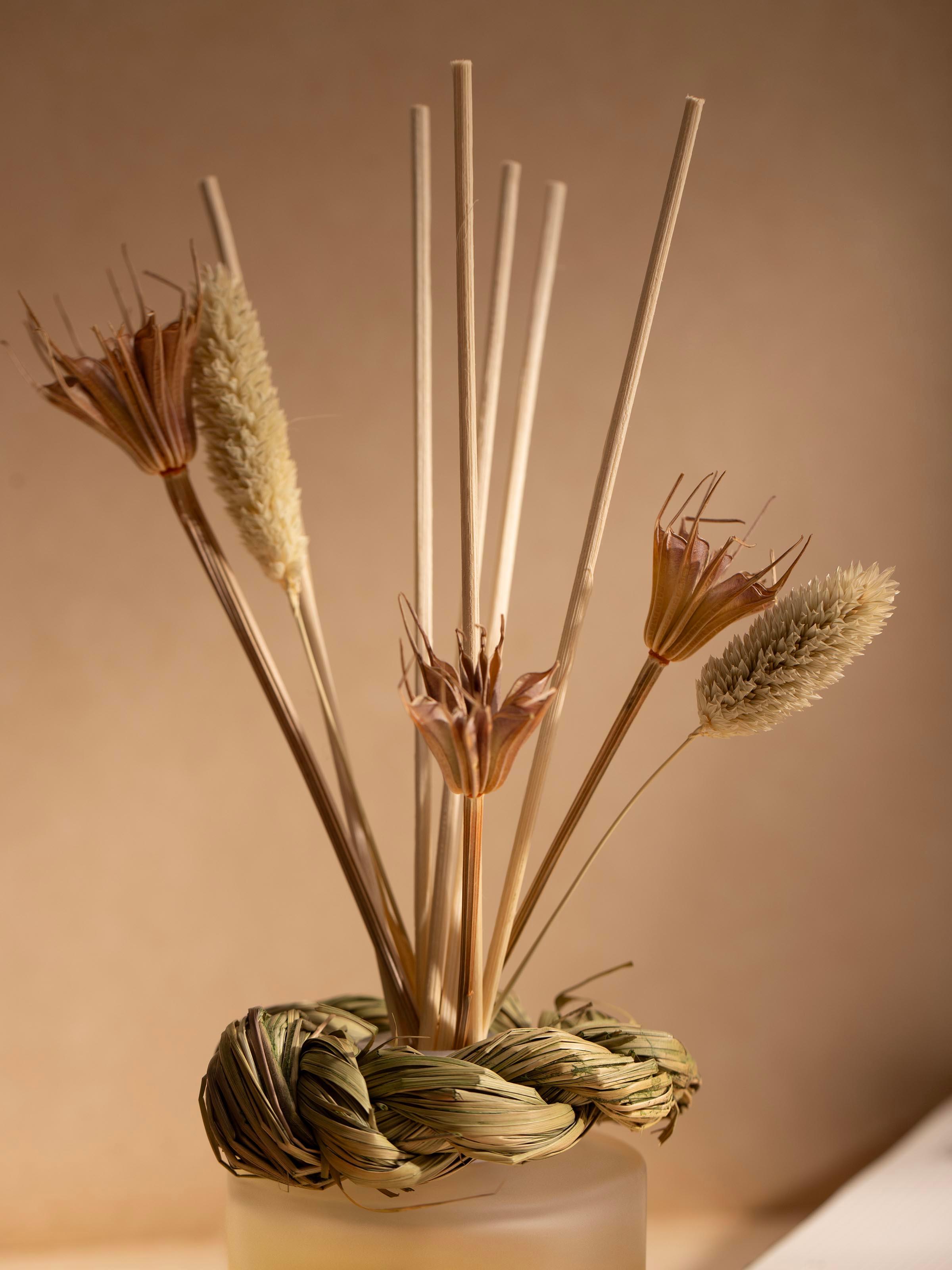 Lemongrass Aroma Reed Diffuser (100 ml)
