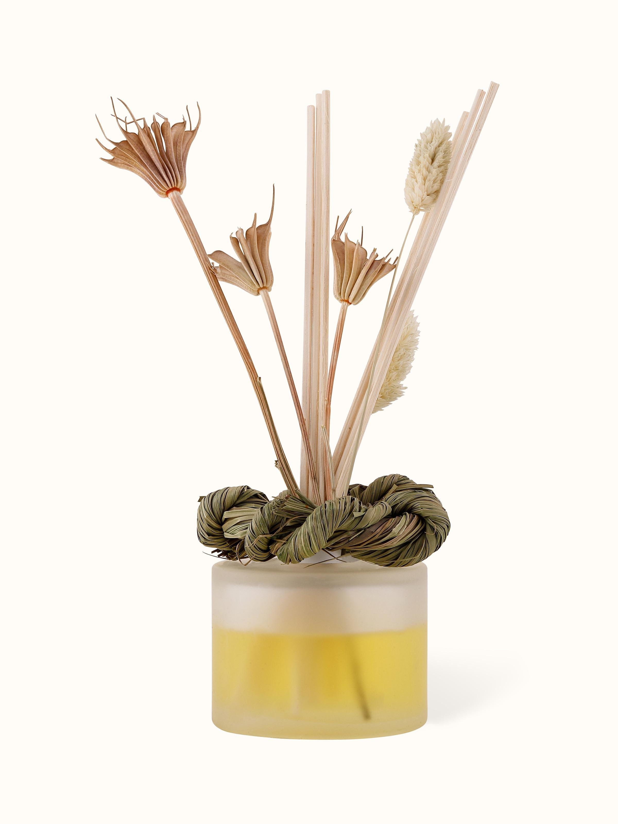 Lemongrass Aroma Reed Diffuser (100 ml)