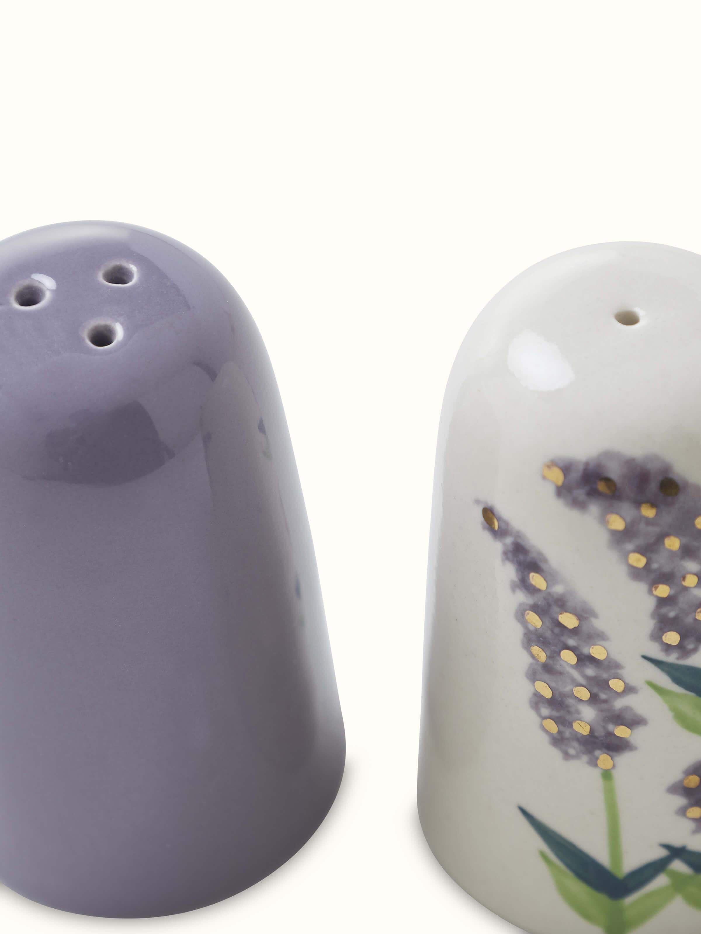 Close-up view of Khurja pottery stoneware salt & pepper shaker set, focusing on the texture and finish of the pottery