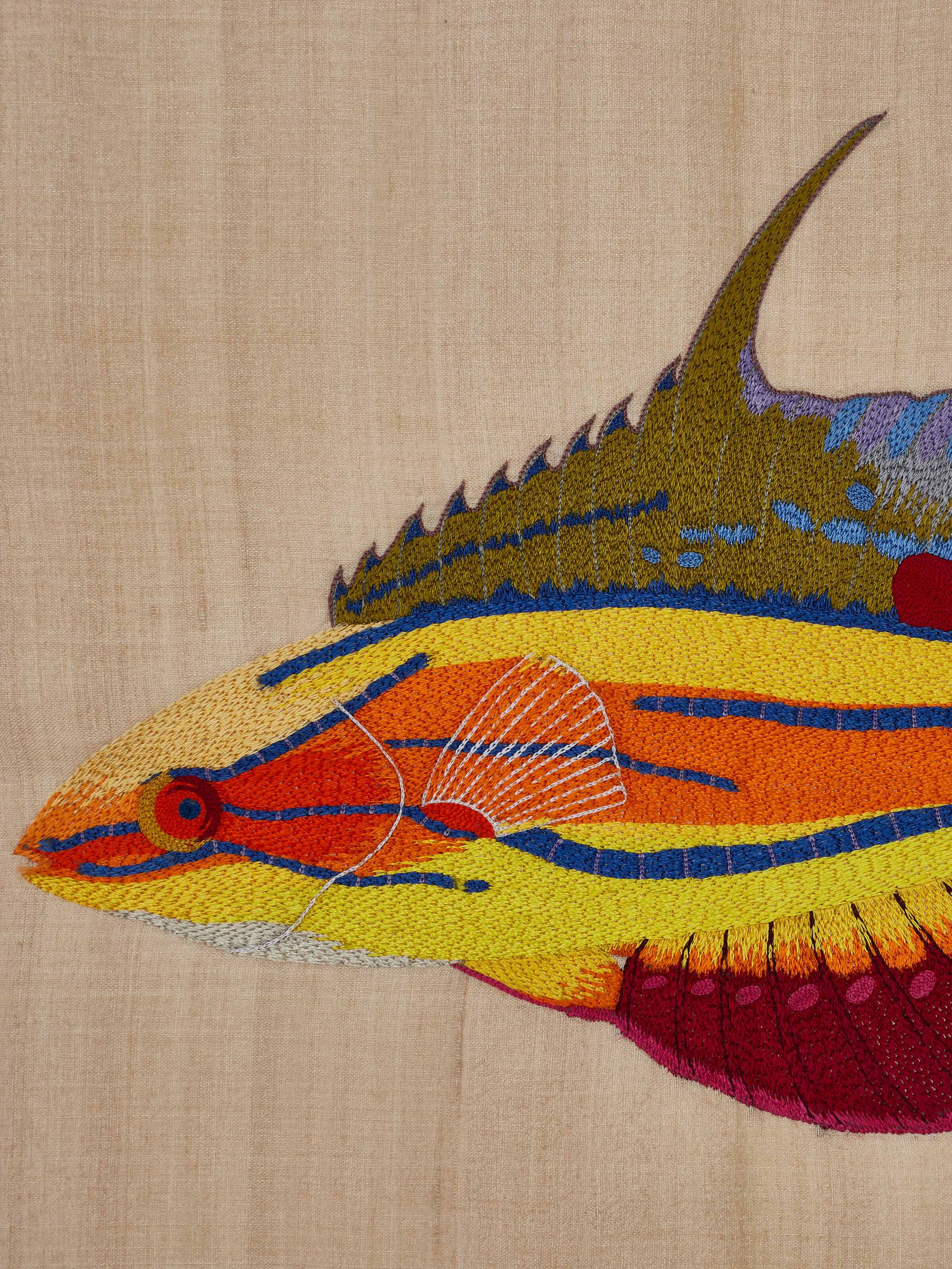 Aari embroidery flasher wrasse wall art, showcasing the full design with a focus on the artistic embroidery work.