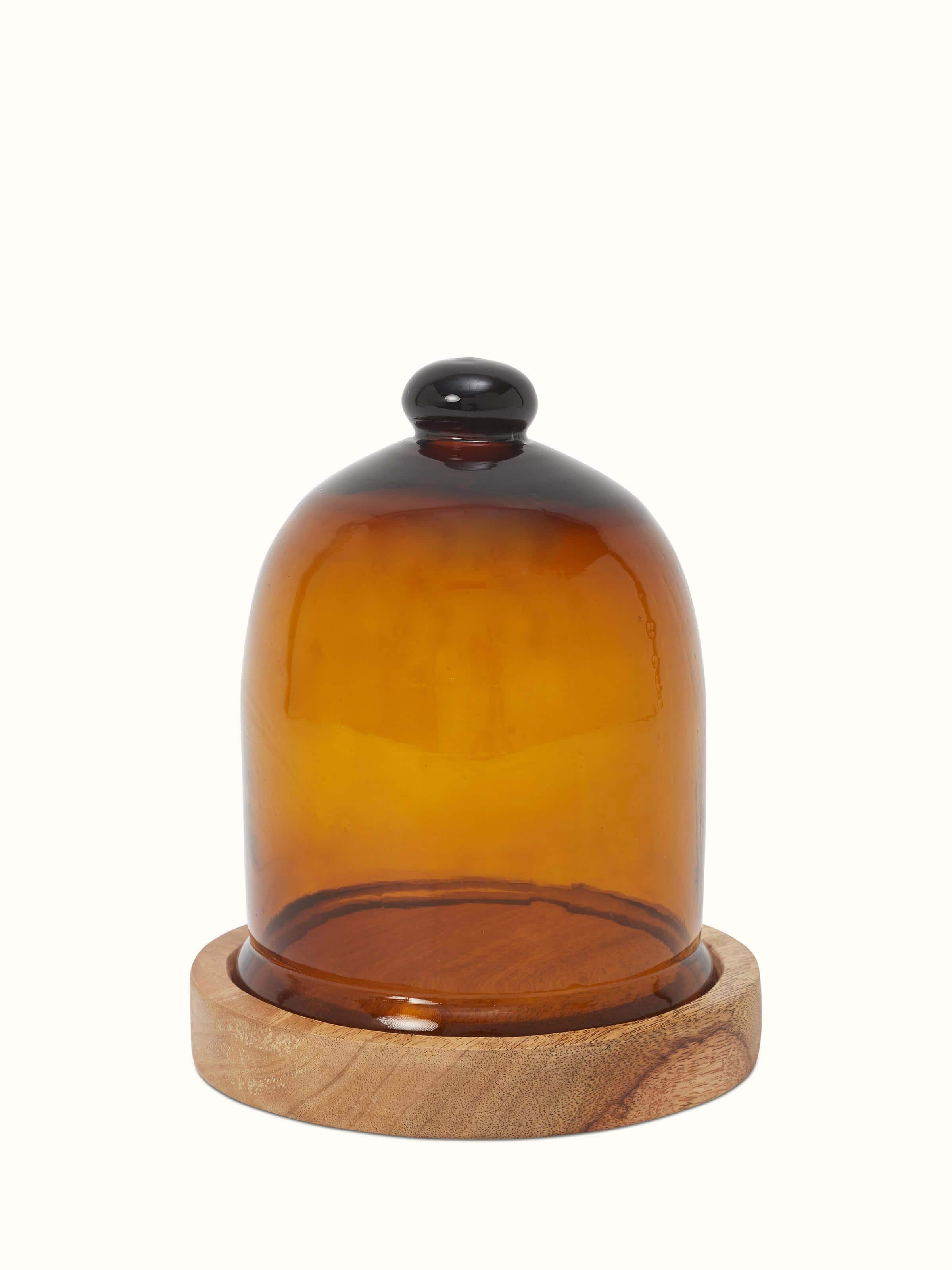 Front view of Glass Cloche, highlighting the elegant design and transparent glass structure