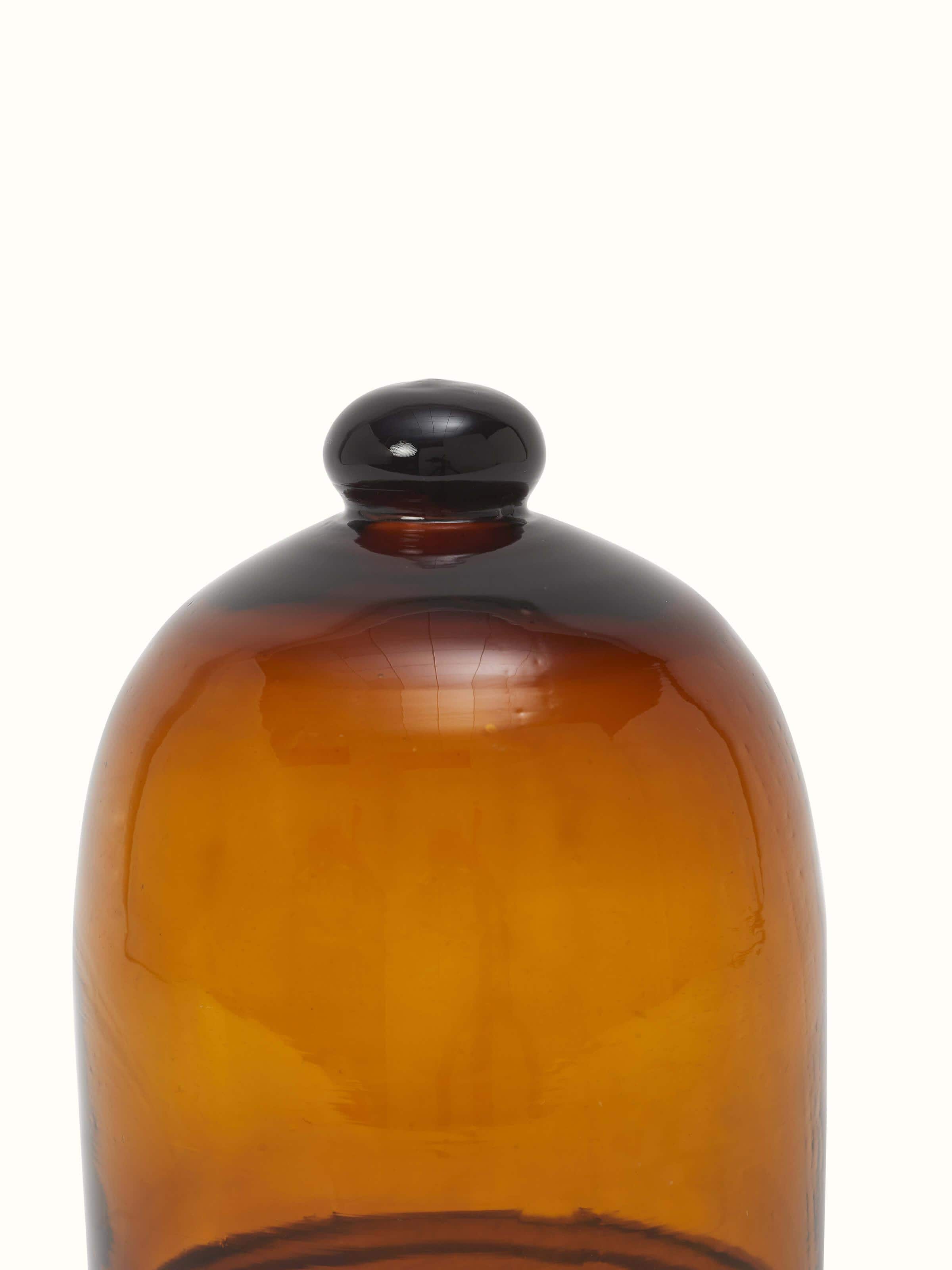 Angled view of Glass Cloche, focusing on the clarity and design of the glass cover