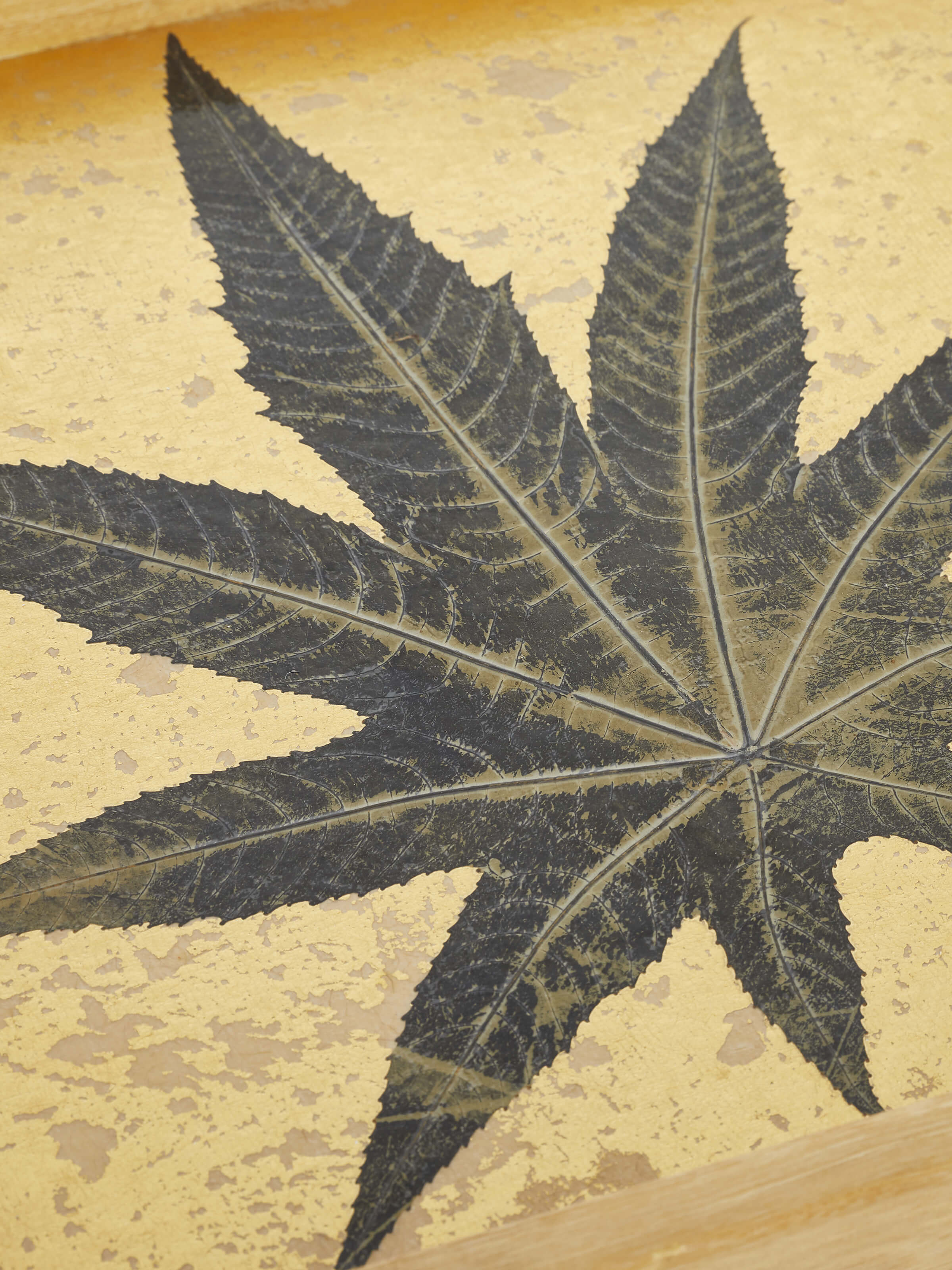 Angled view of Firozabadi green water glasses set (4 pcs) showcasing their distinctive green hue and craftsmanship