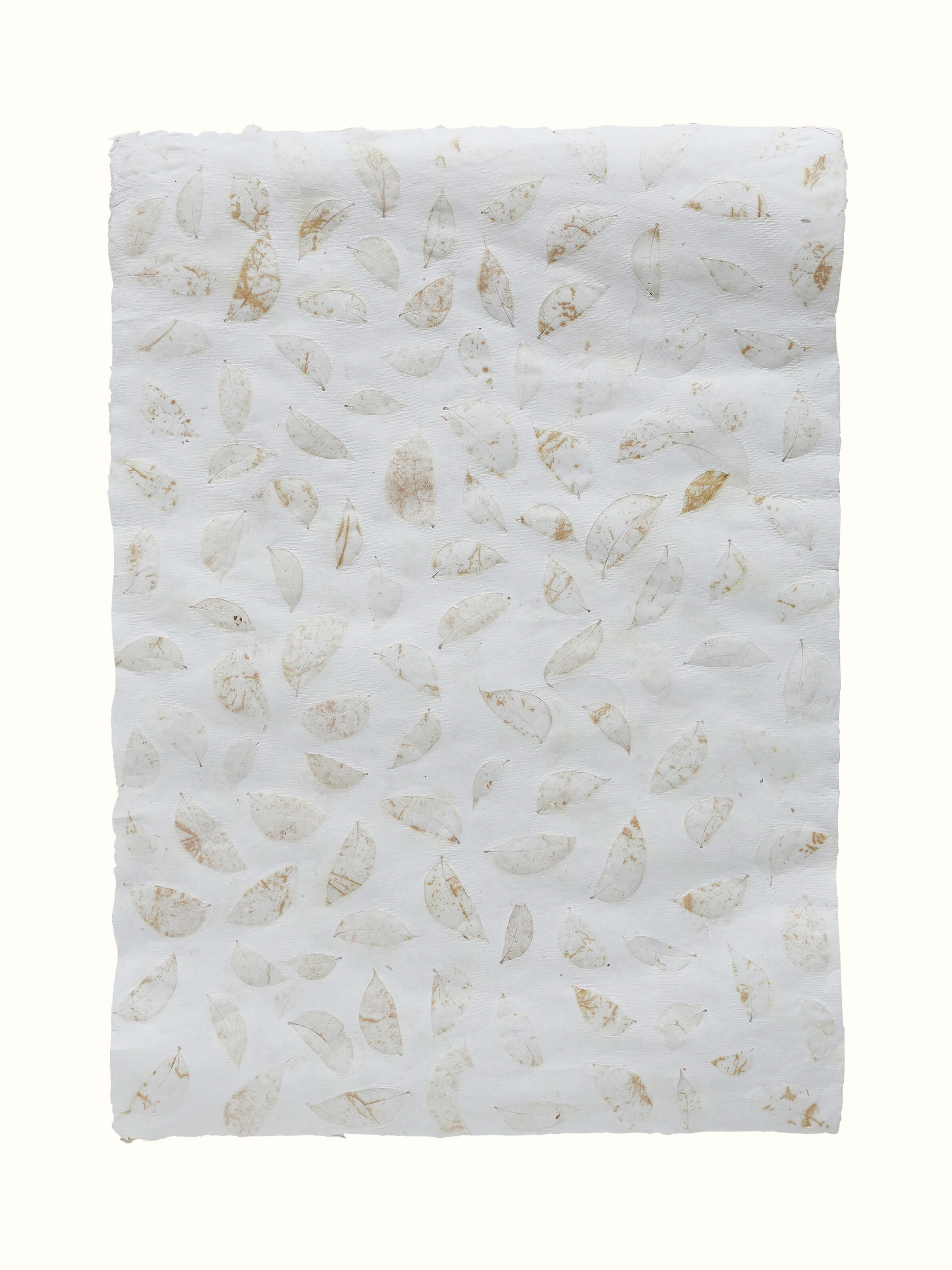 Front view of Auroville Handmade Paper Wrapping Sheets in White (2 pcs) showcasing elegant texture.