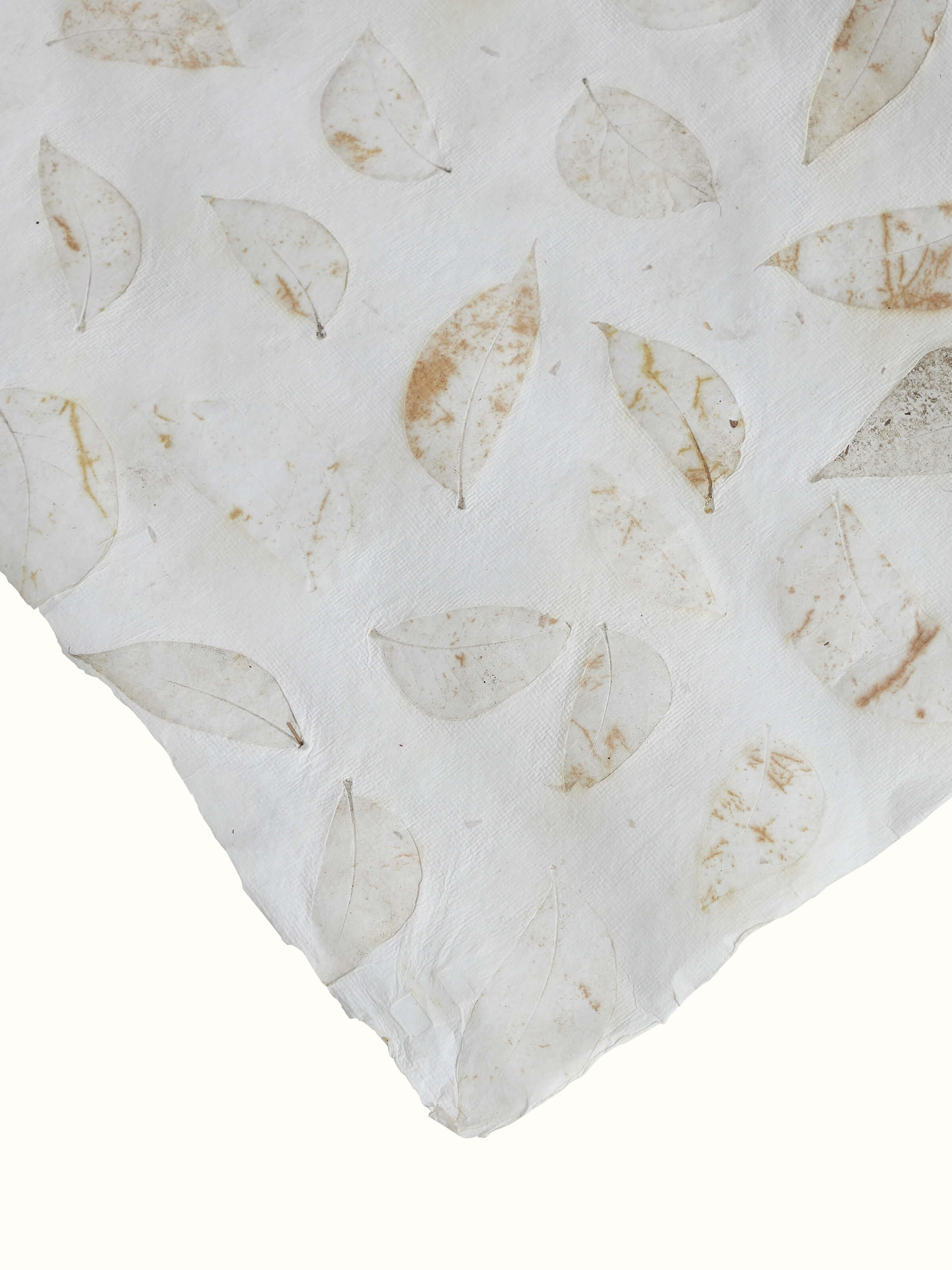 Close-up of Auroville Handmade Paper Wrapping Sheets in White (2 pcs) highlighting elegant details.