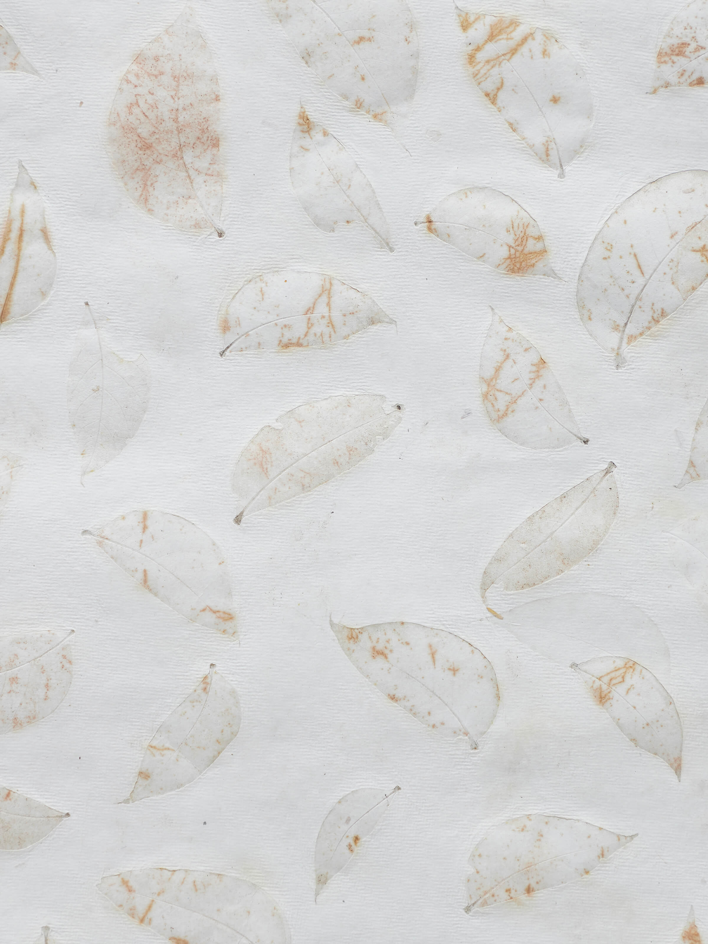 Detailed view of Auroville Handmade Paper Wrapping Sheets in White (2 pcs) showcasing texture.
