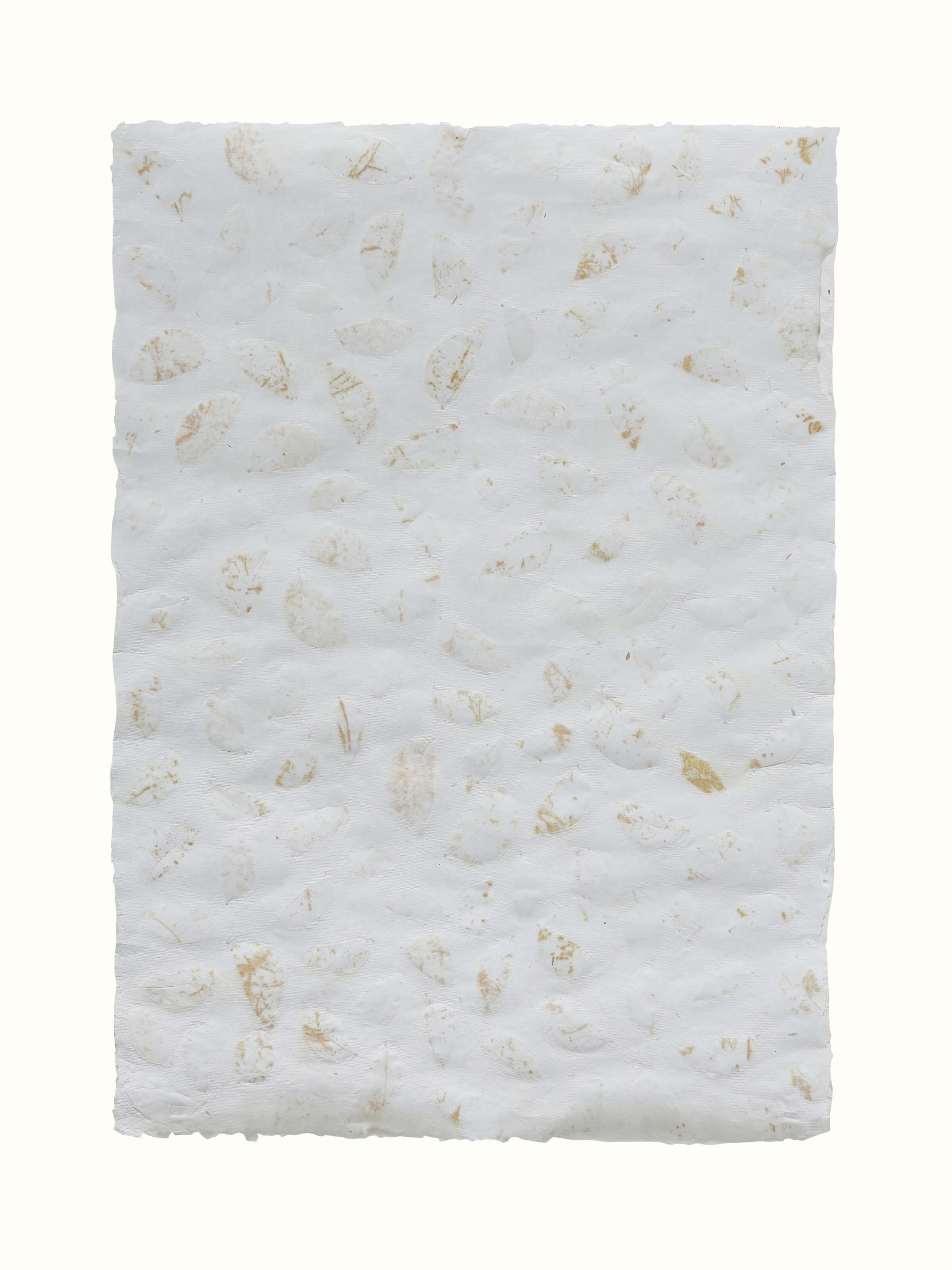 Full view of Auroville Handmade Paper Wrapping Sheets in White (2 pcs) displaying elegant design.