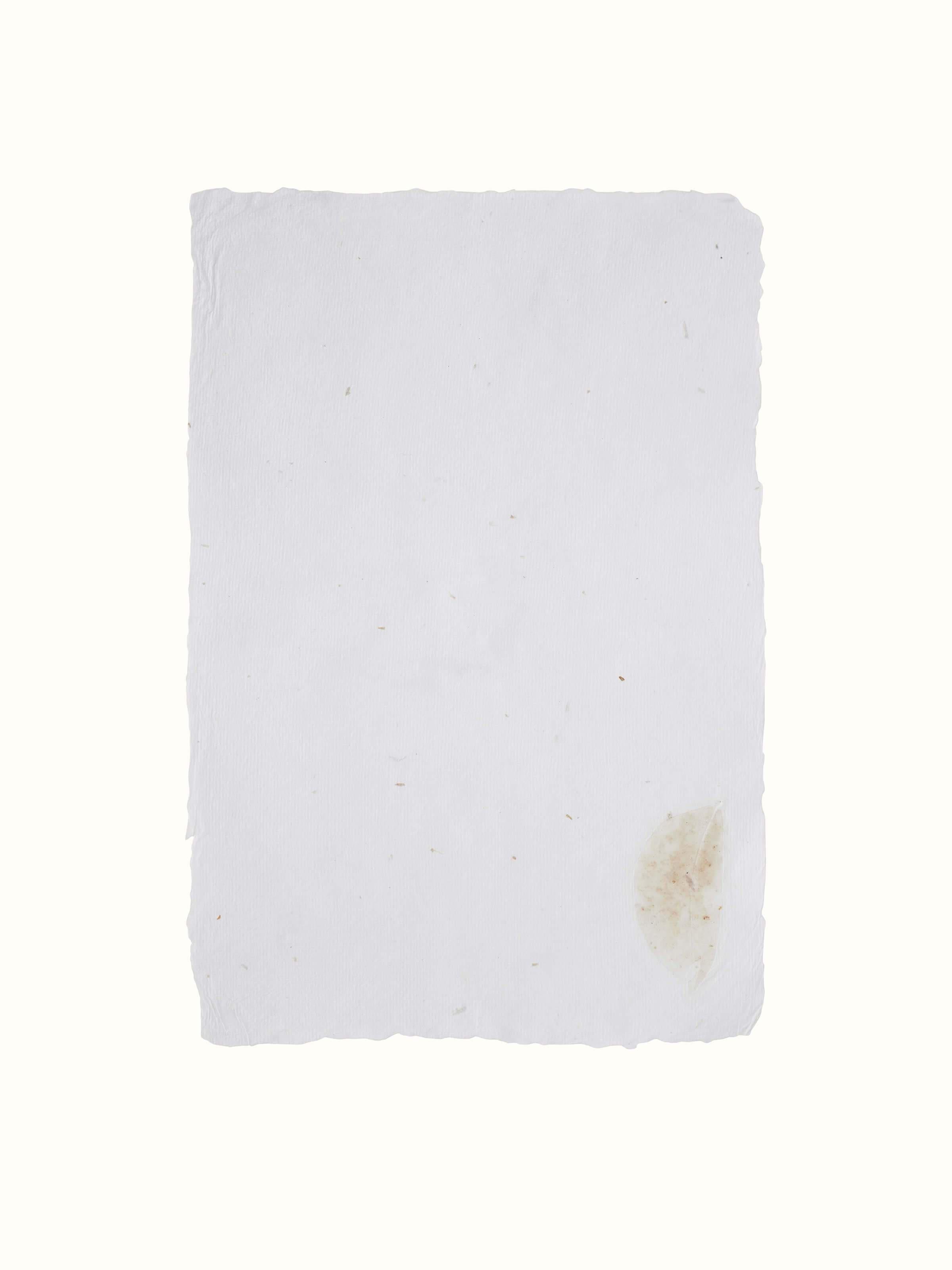 Front view of Auroville handmade paper sheets (5 pcs)