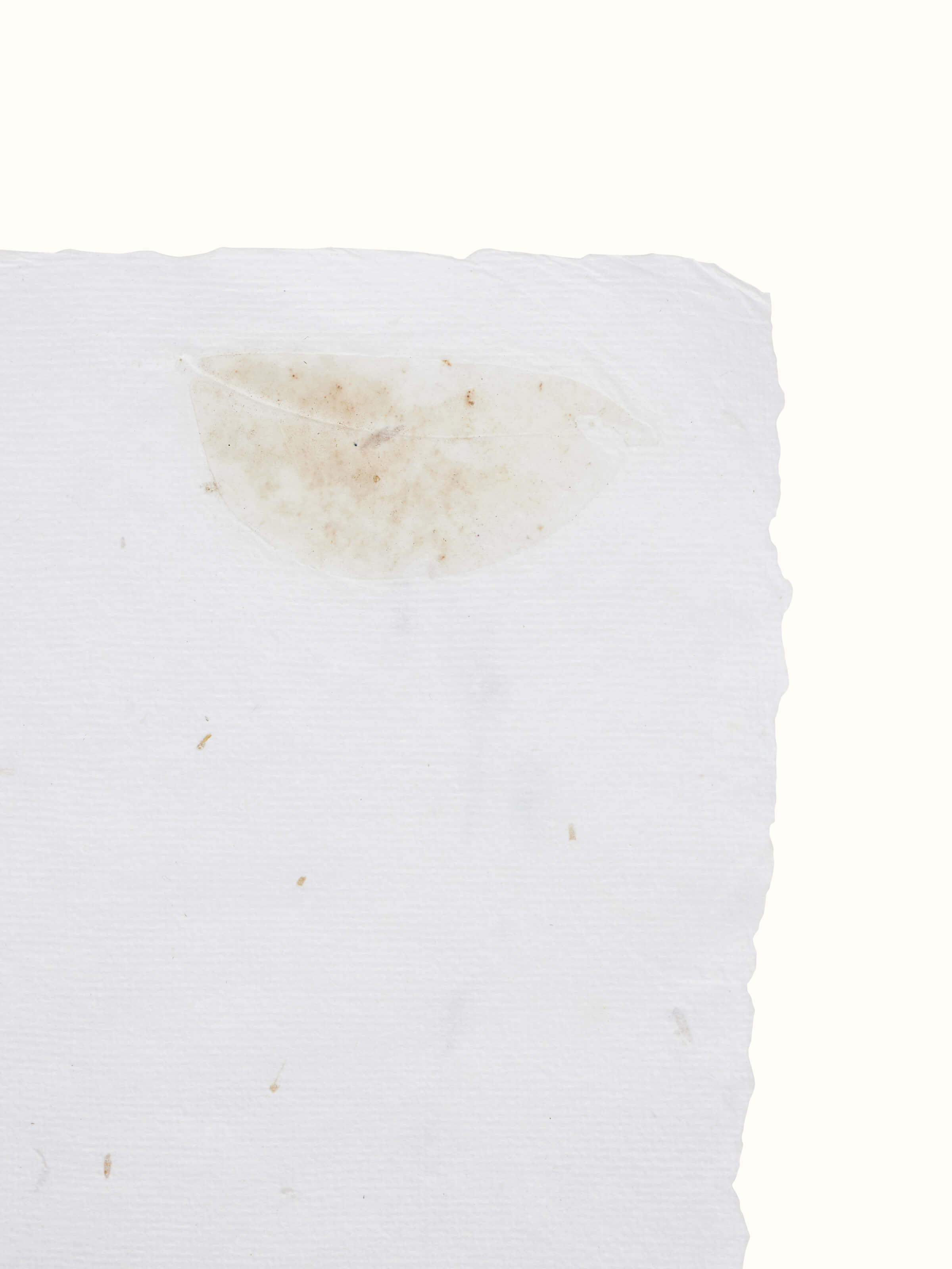 Detailed view of Auroville handmade paper sheets (5 pcs)