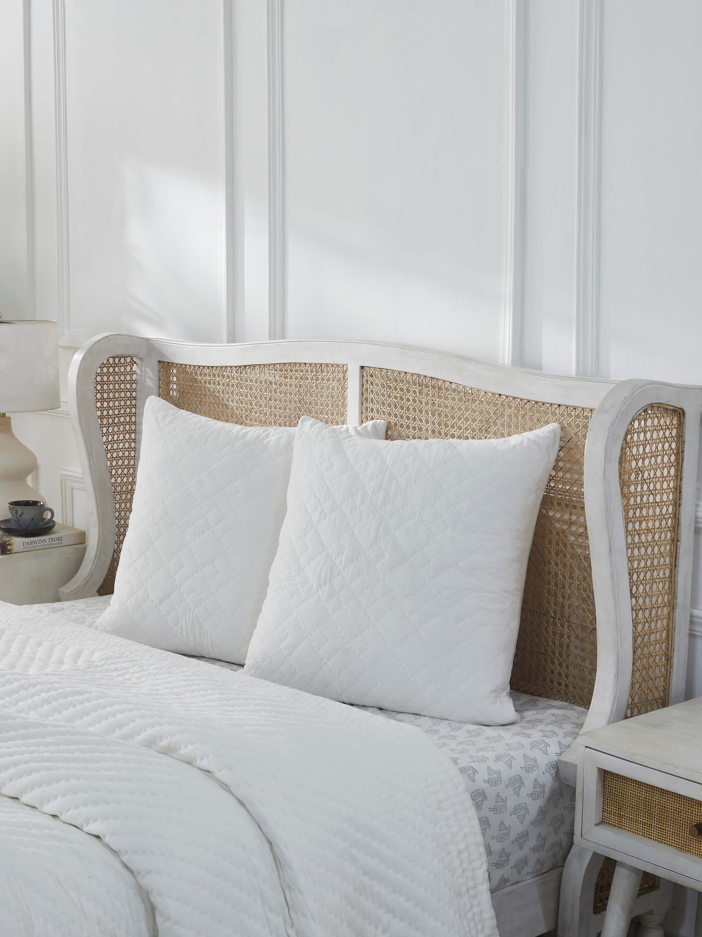 Front view of Shivranjini Ivory Textured Cotton Razai Embroidered Euro Shams (2 pcs) displaying the full design and embroidery details