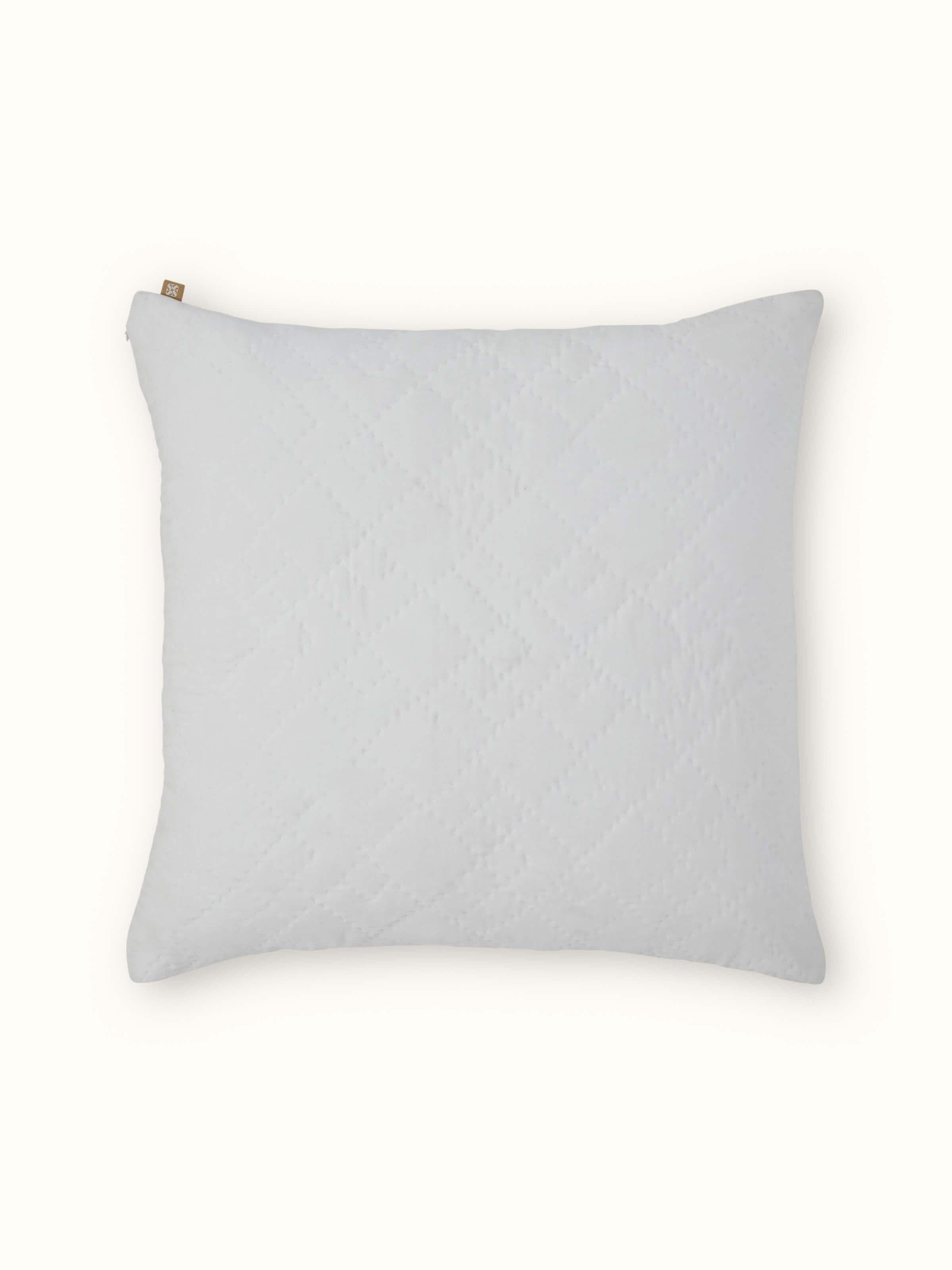 Close-up of Shivranjini Ivory Textured Cotton Razai Embroidered Euro Shams (2 pcs) highlighting the embroidery pattern and fabric texture