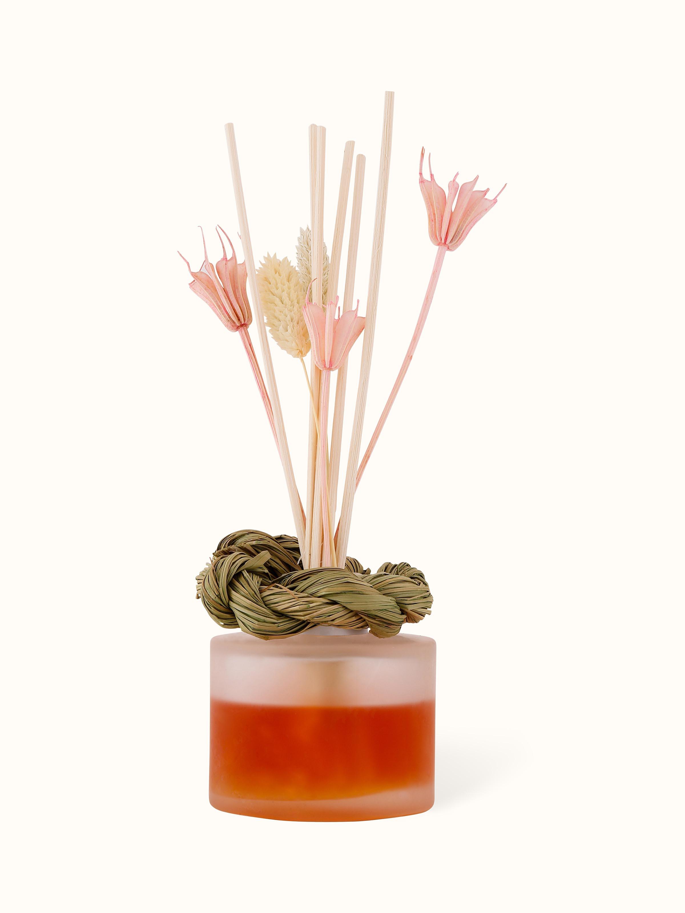 Top view of Tuberose Aroma Reed Diffuser (50 ml) displaying the reed diffuser bottle and reeds in a clear layout.