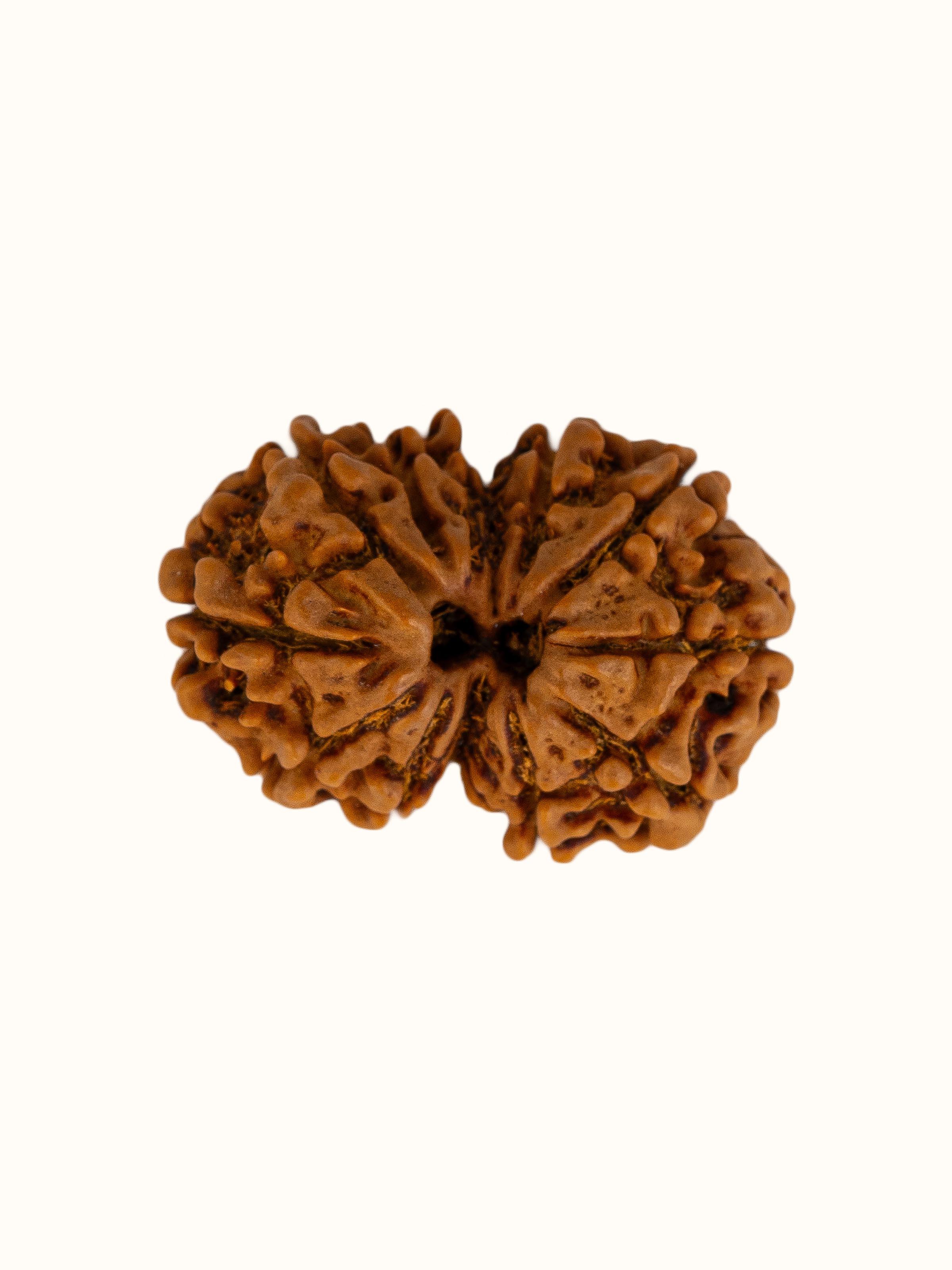 Front view of Gaurishankar Rudraksha Pendant showcasing the pendant's detailed design and natural rudraksha texture.
