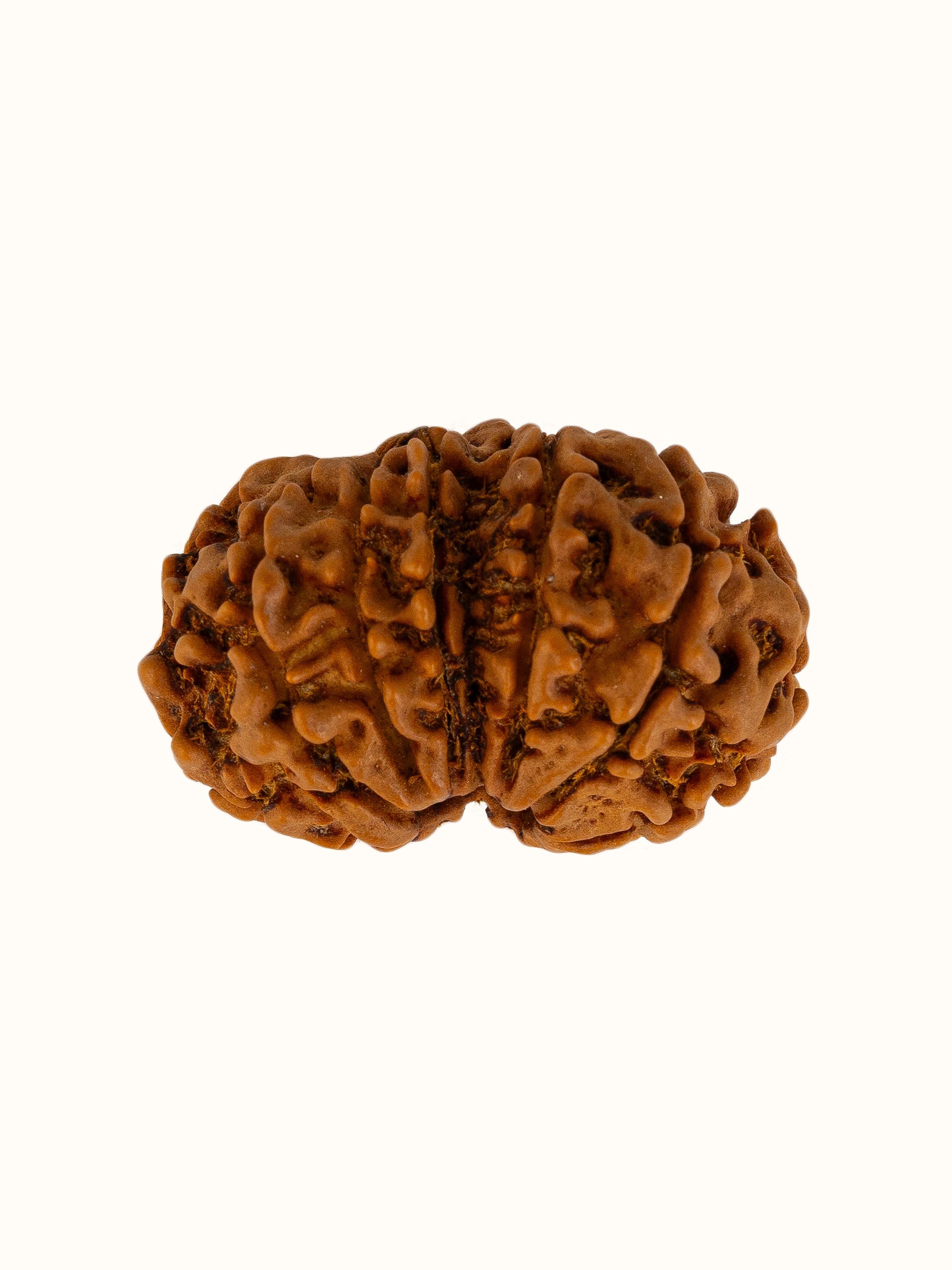 Back view of Gaurishankar Rudraksha Pendant showing the clasp and securing mechanism.