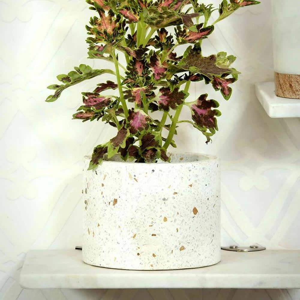 Brenda White Marble Planter - Posh N Plush