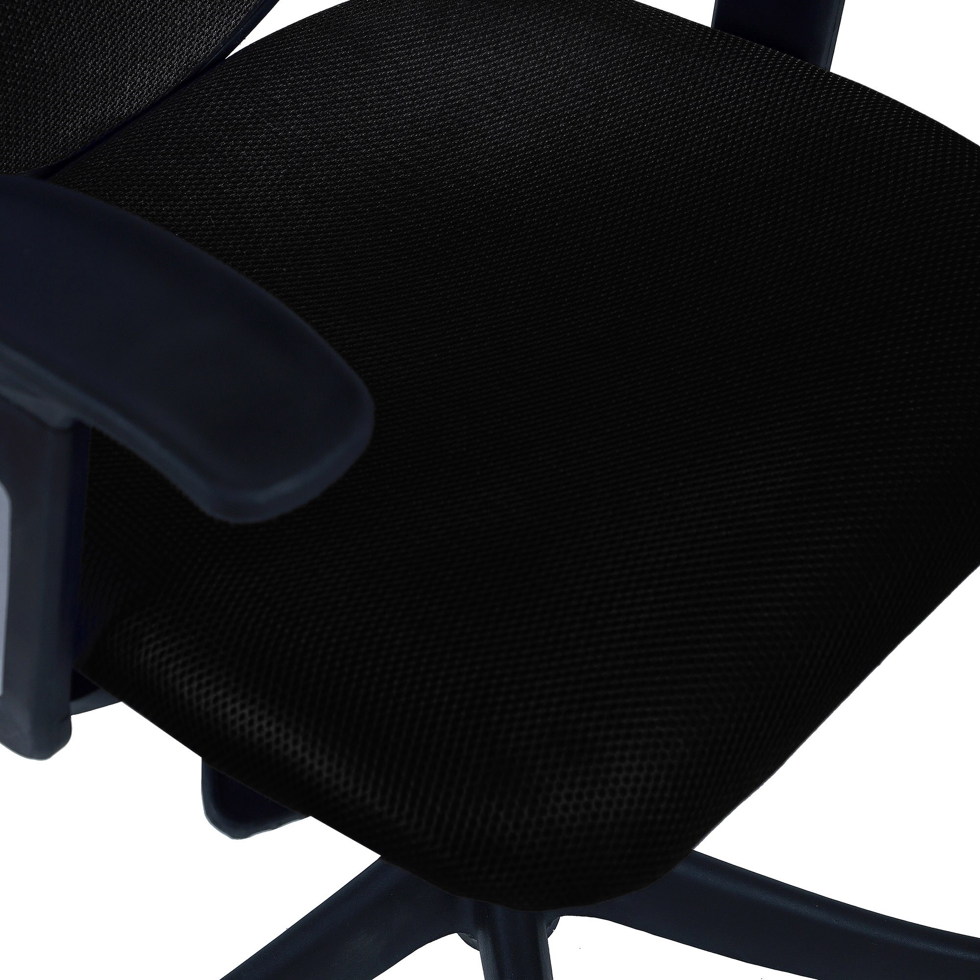 Odrione Low Back Ergonomic Chair in Black Colour