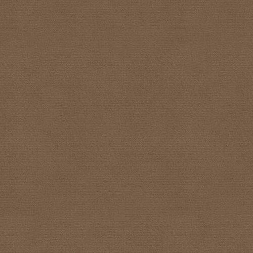 Winchester Luxe 2 Seater Fabric Sofa in Fawn Velvet Colour