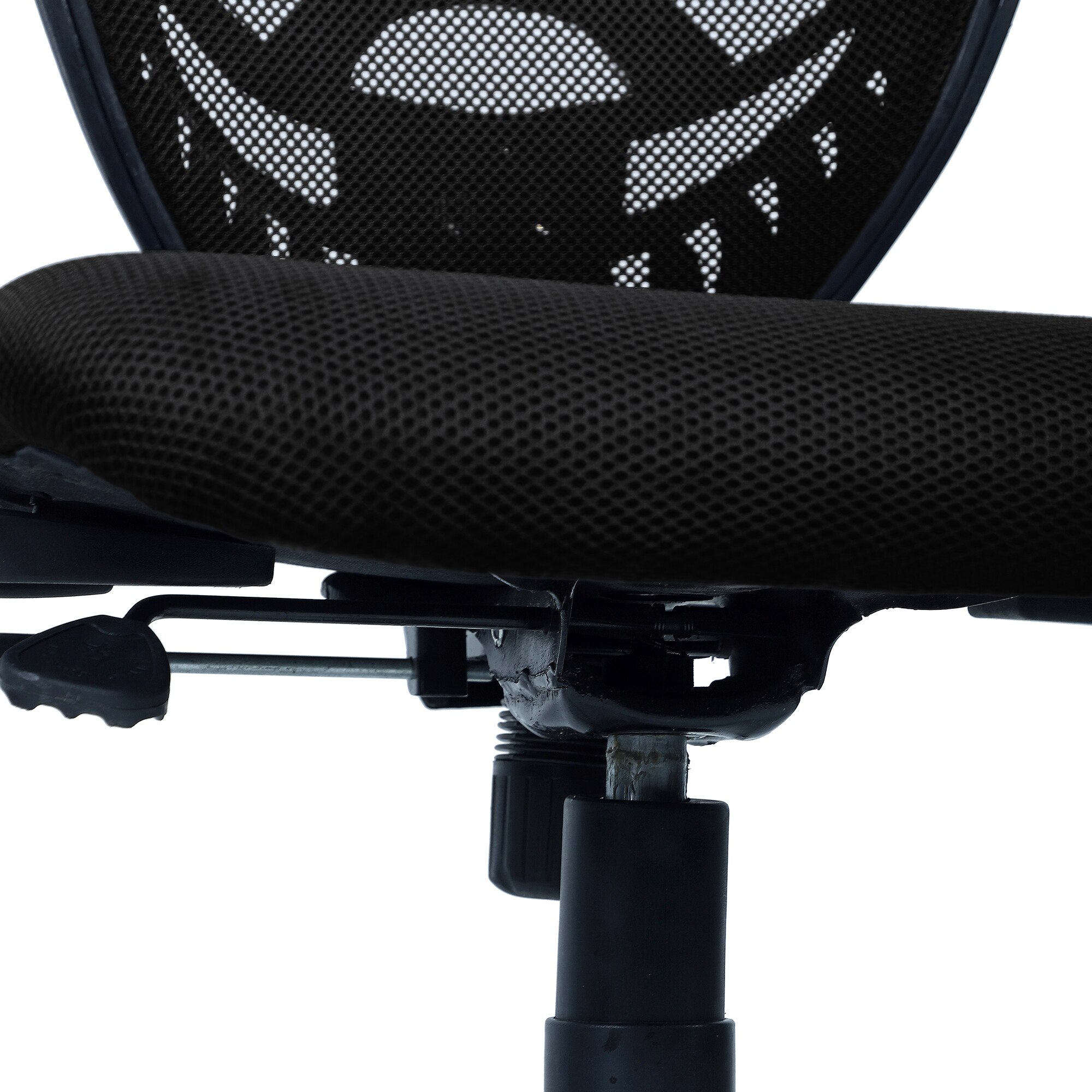 Odrione Low Back Ergonomic Chair in Black Colour
