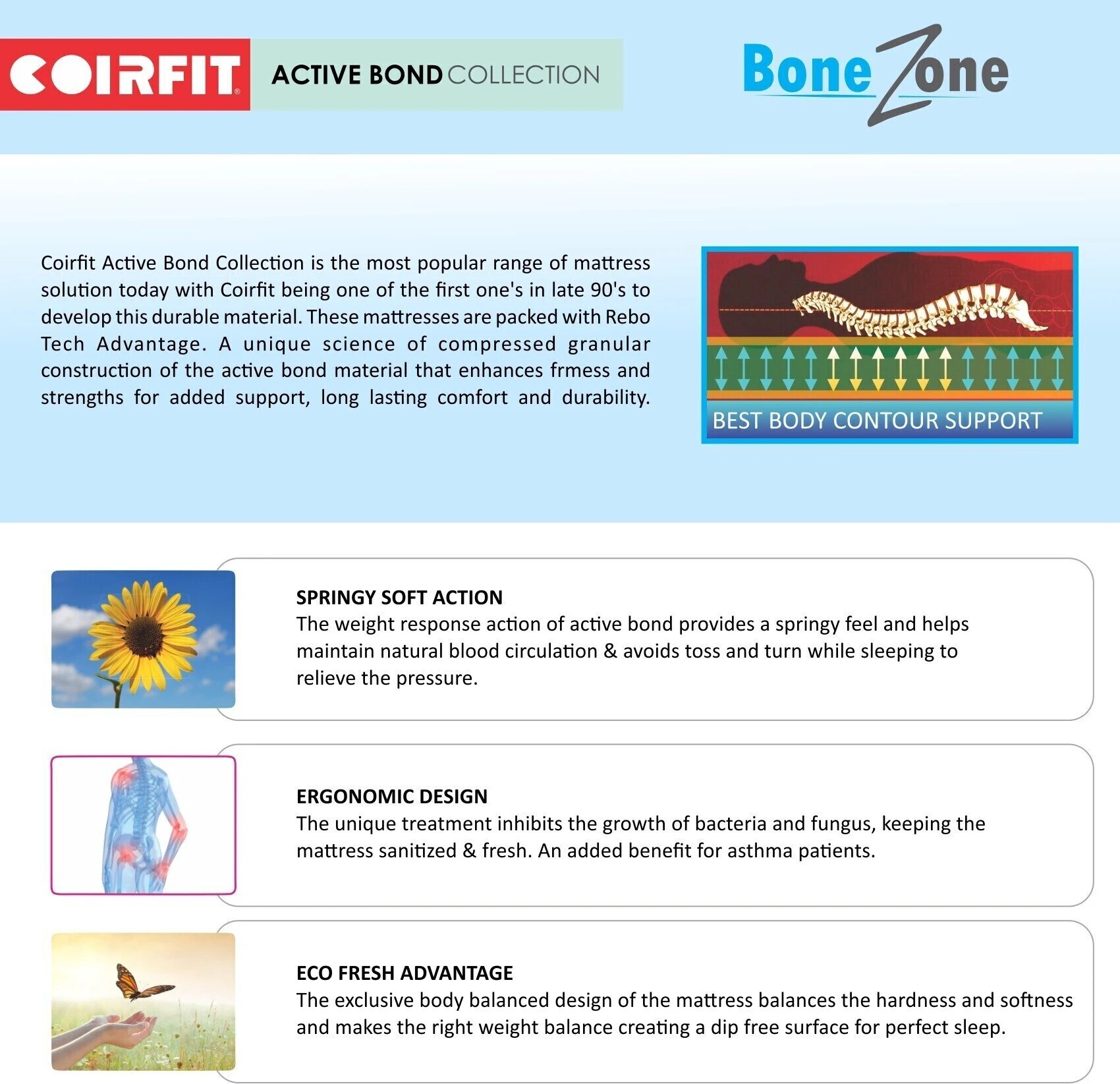 BONE ZONE with REBOTECH Tech Queen Size Mattress (80 x 66 in, 6 Inches)