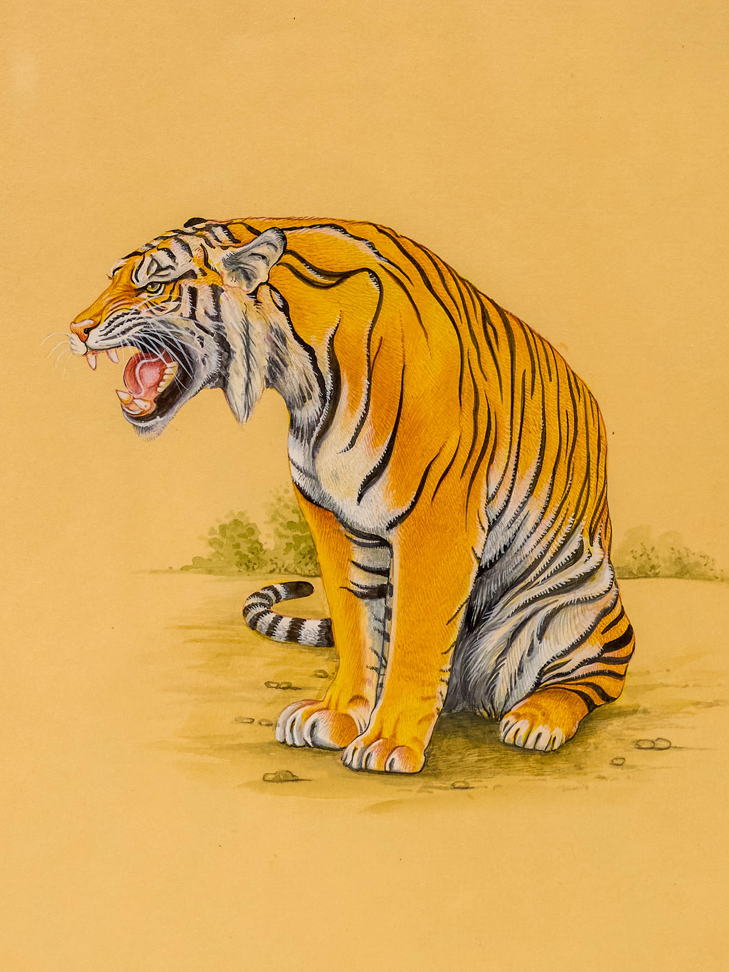 Tiger Miniature Painting