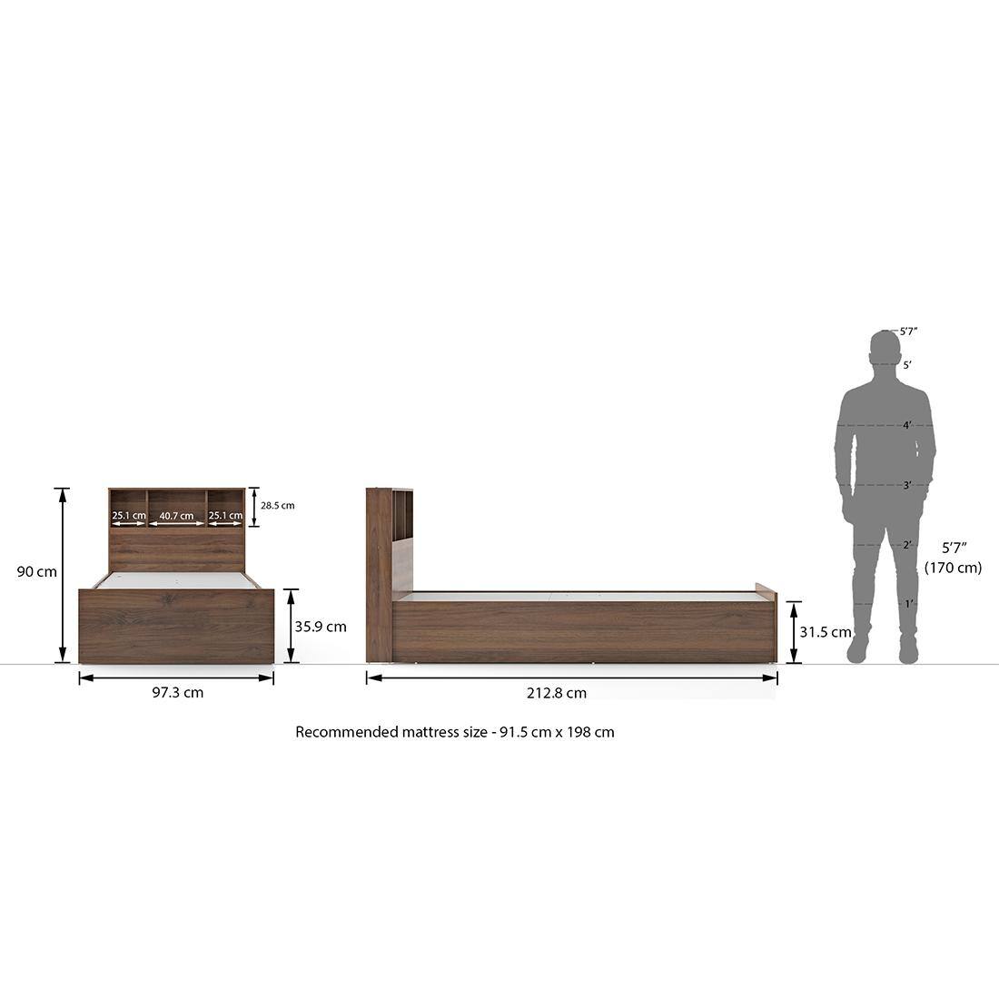Jasper Engineered Wood Single Size Box Storage Bed In Classic Walnut Finish