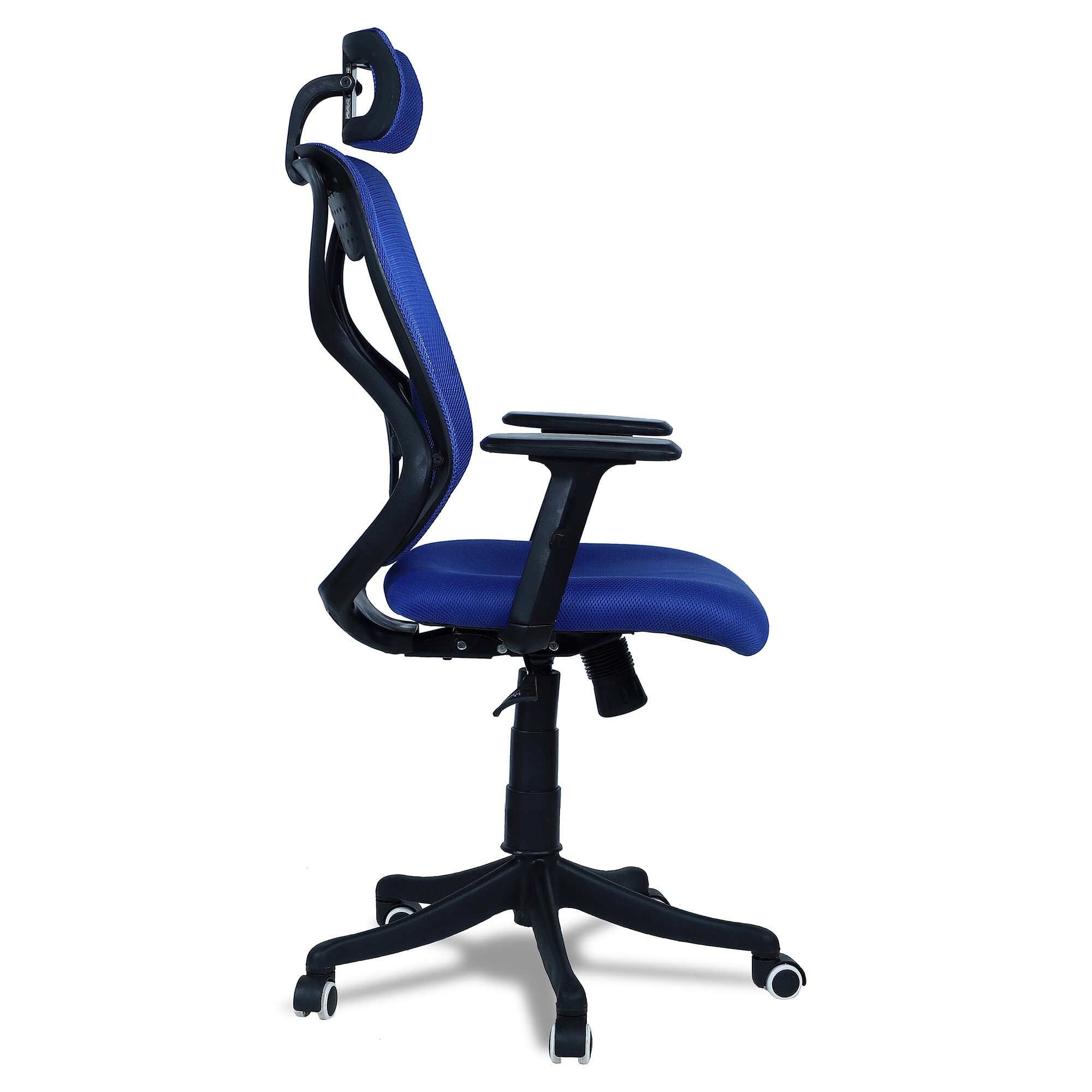 Zeeazyana High Back Ergonomic Chair in Blue Colour