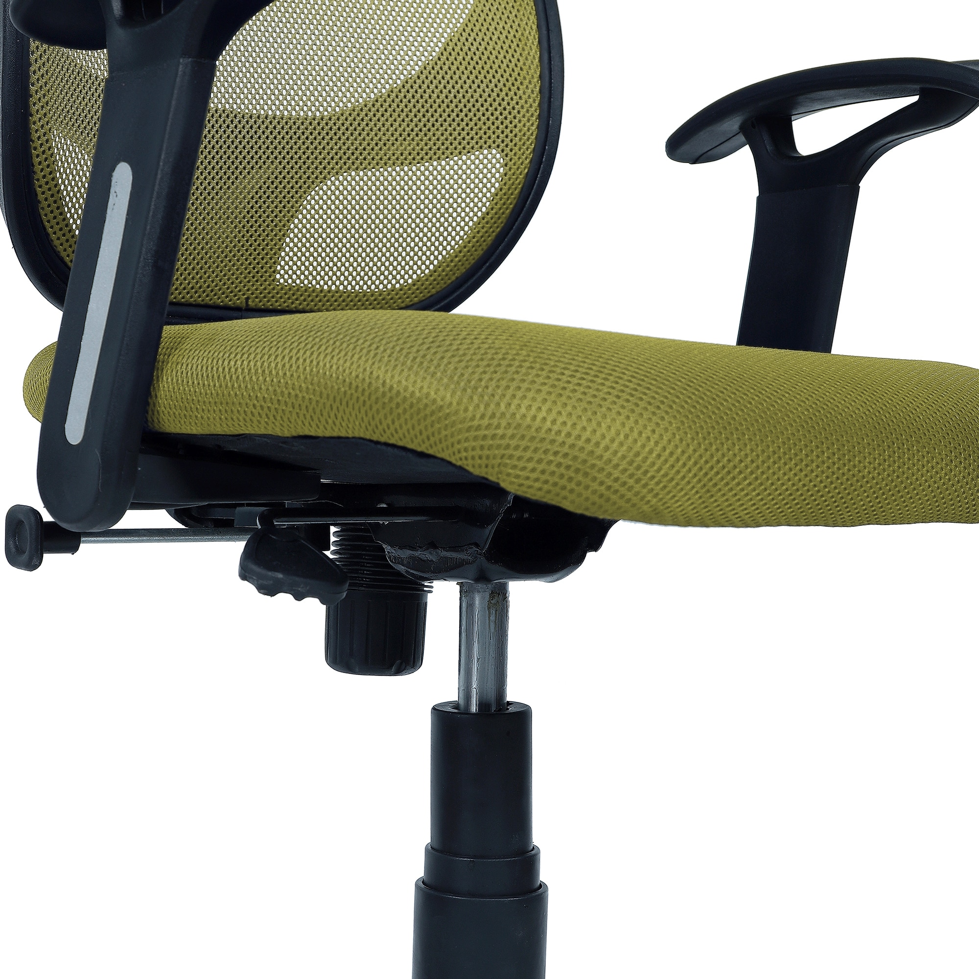 Goolda Low Back Ergonomic Chair in Pearl Green Colour