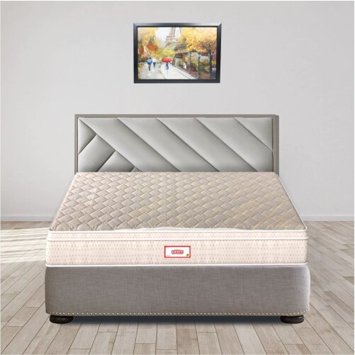 Spine FineOrthopedic Euro Top With Rebotech Technology 5 Inch Double Size Bonded Foam Mattress (78X48 Inches) Premium Knitted Fabric, SoftRelax
