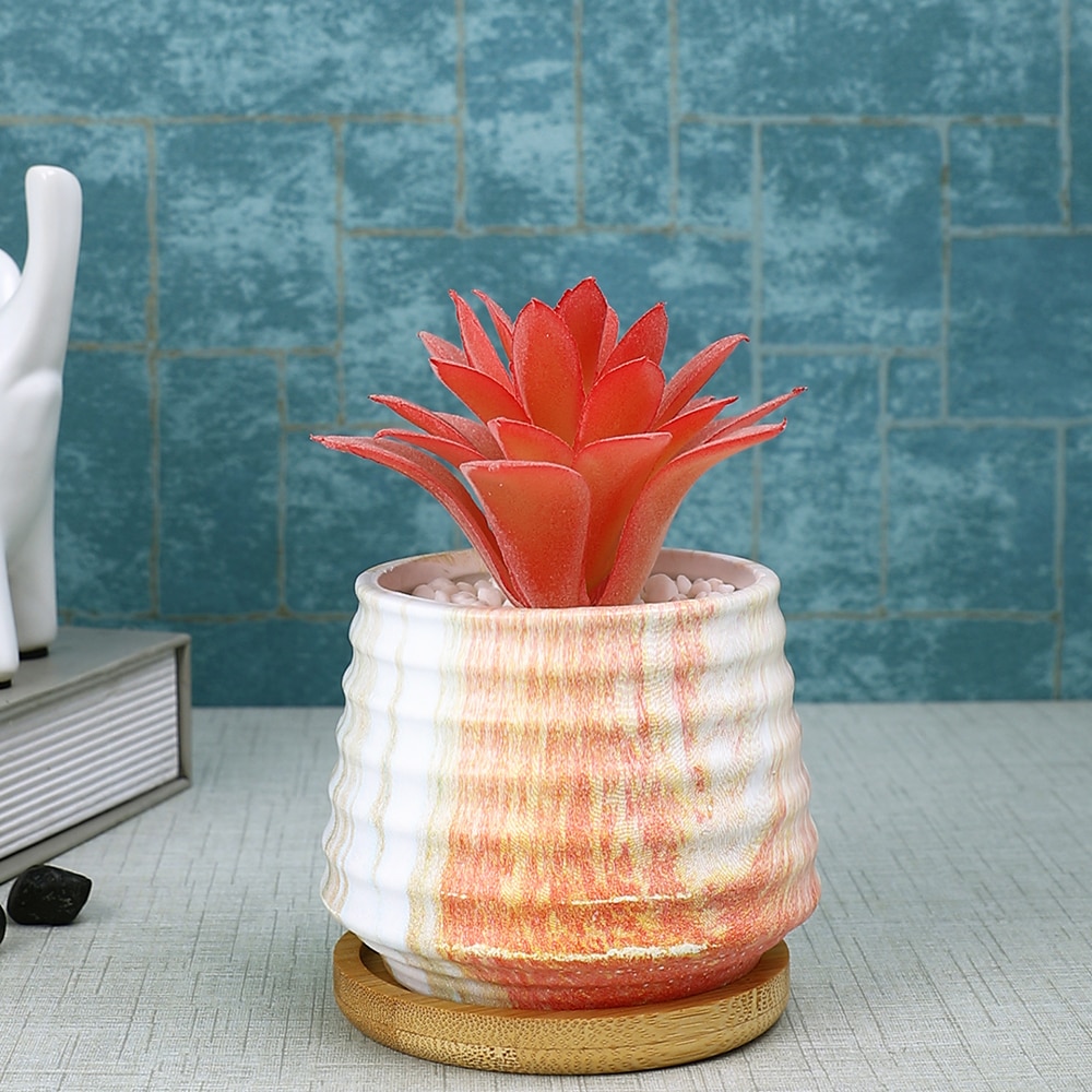 White 1 Pieces Succulent Artificial Plant With Pot - Tayhaa