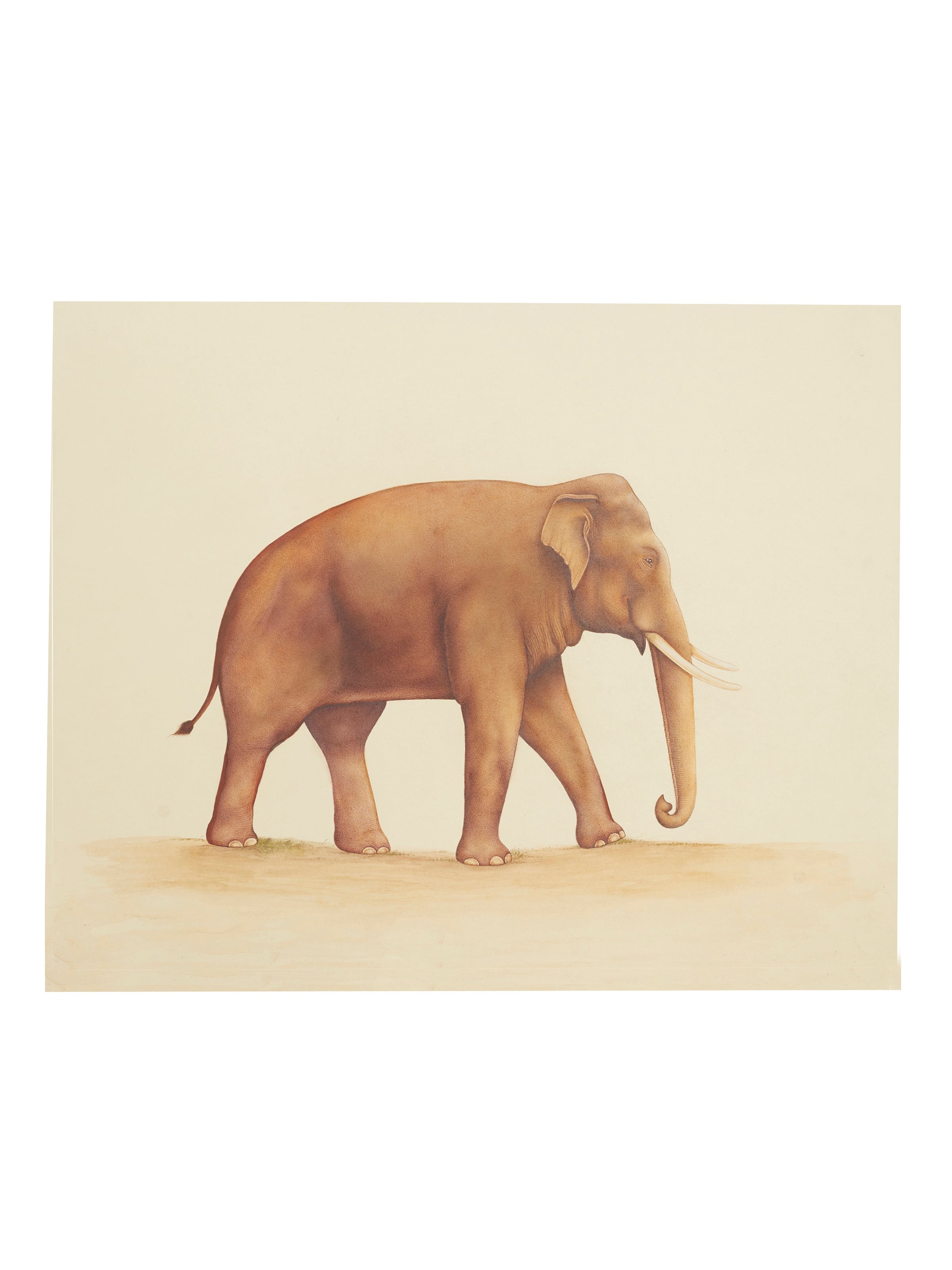 Elephant with Savari Miniature Painting