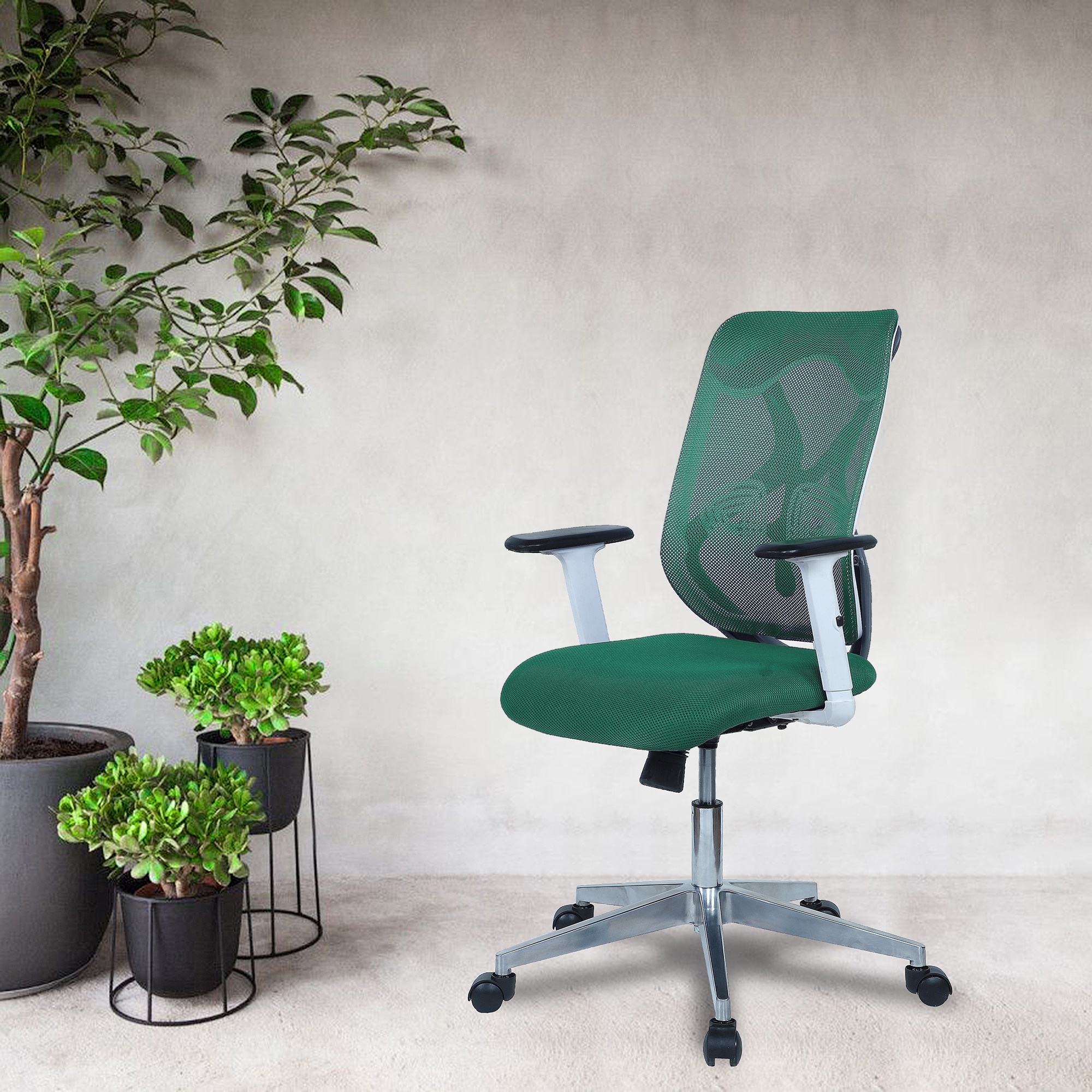 Wiwngas Mid Back Ergonomic Chair in Dark Green Colour