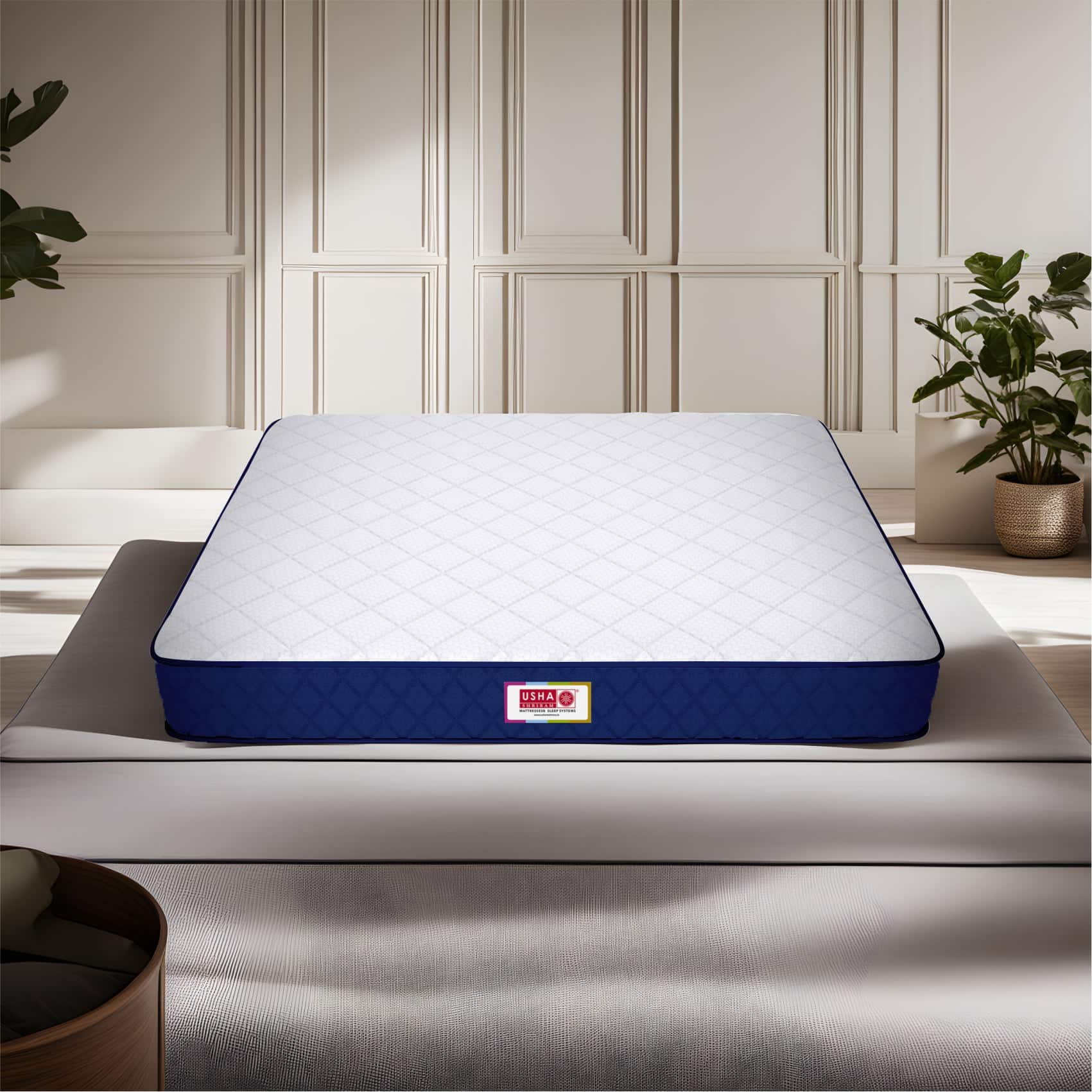 Back Master With Nff Tech (72 x 66 in, 6 inches)