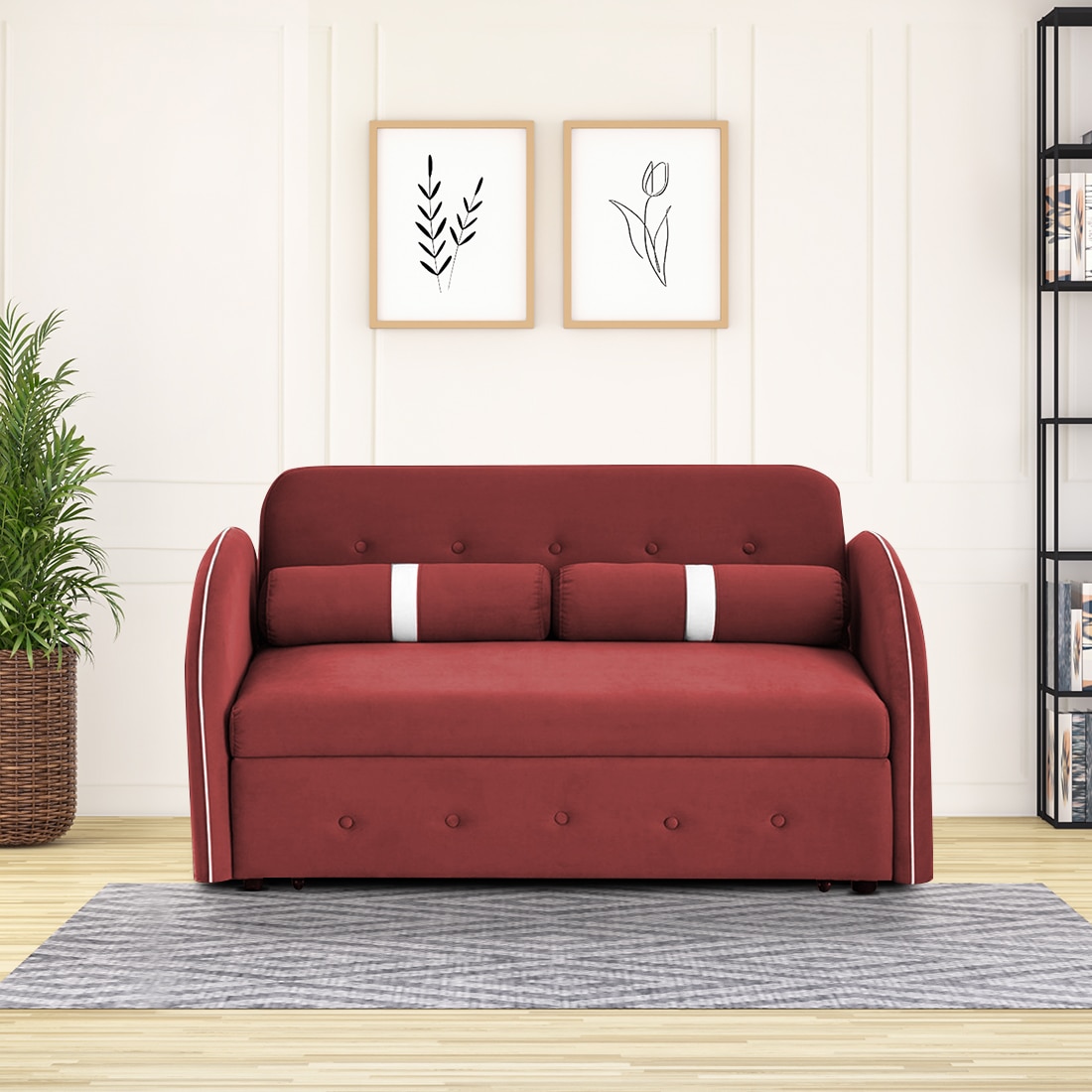 Jayen 2 Pull Out Sofa Cum Bed In Pink Colour