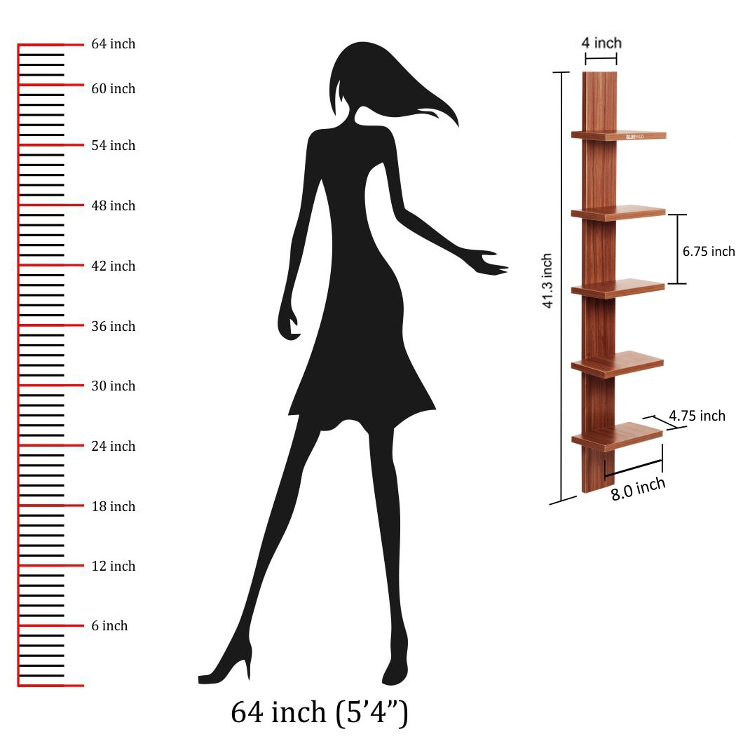 BLUEWUD Louis Engineered Wood Multipurpose Wall Decor Shelf, Display Rack (Walnut)