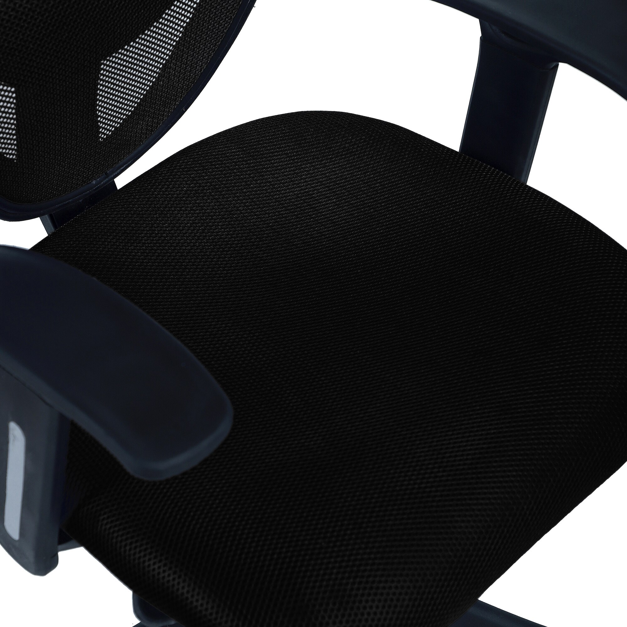 Aaeroa Low Back Ergonomic Chair in Black Colour