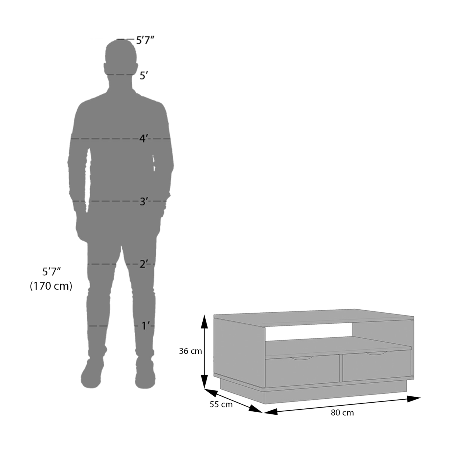 Zephyr Storage Coffee Table in American Walnut Finish
